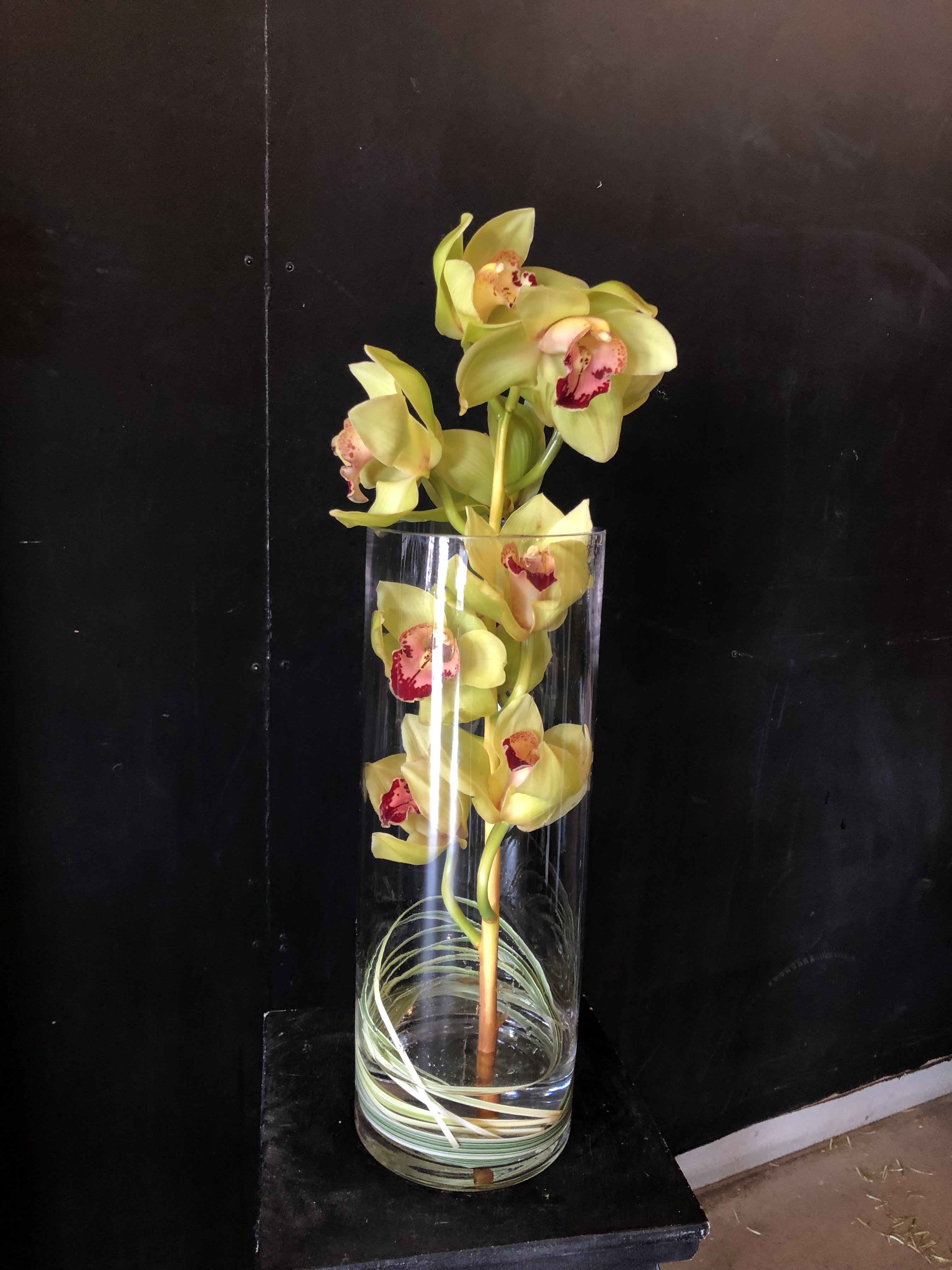 Cymbidium Orchid - A tall, modern display of yellow cymbidium orchids makes a striking anniversary or formal gift that feels refined and memorable. This vertical orchid arrangement is ideal for an anniversary, corporate gifting, or to mark a special milestone-the yellow petals and pink-to-burgundy centers draw the eye and give the recipient a sense of elegance and warmth.  Single upright stems of cymbidium orchids are arranged in a clear cylindrical glass vase, the clean lines emphasizing the blooms' sculptural beauty. A small loop of decorative grass at the base adds a fresh green accent and subtle texture without distracting from the orchids' color-yellow petals with pink and burgundy throats and touches of white combine for a sophisticated palette.  Perfect for the person who appreciates minimalist, contemporary style, this piece fits a mantel, desk, or entry table and sends a message of thoughtful, elevated taste. Vase included; simple care-keep water fresh and place out of direct hot sunlight-to help the orchids last and continue to delight.