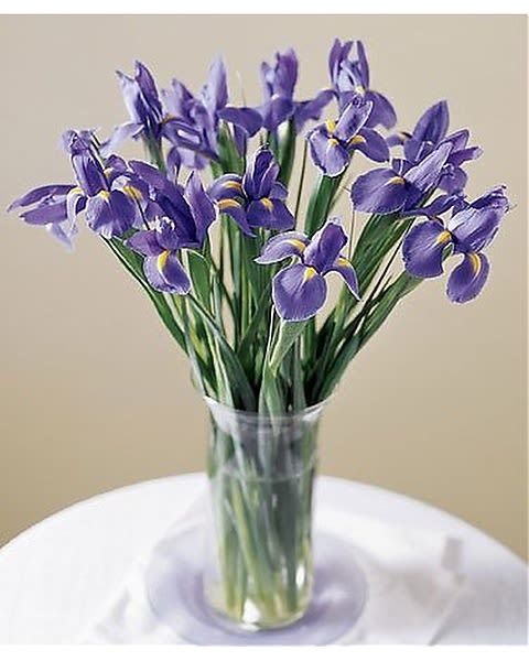 The FTD Blooming Iris - Stunning - a glass vase filled with beautiful blue iris. This simple arrangement is a wonderful expression of your sentiments for any occasion. 