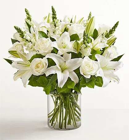 Pure Elegance - A serene cluster of white lilies and white roses creates a quietly powerful sympathy arrangement or wedding centerpiece-Pure Elegance is a white-and-green flower arrangement designed to convey calm, support, and refined beauty. The combination of open lily blooms and classic rose heads gives the recipient a sense of peaceful grace; it's the kind of bouquet that makes someone feel truly seen during a solemn moment or celebrated in an understated way.  Dense and rounded, the composition sits in a clear cylindrical glass vase that shows the clean stems and adds to the fresh, formal look. Several lily buds and taller blooms rise above the main body to create a layered, airy silhouette, while the green accents lend contrast and depth to the white palette. Sized to fit tabletops and mantels, this arrangement arrives ready to display-no extra styling needed-and its neutral tones work beautifully for sympathy, weddings, or any occasion calling for timeless elegance.