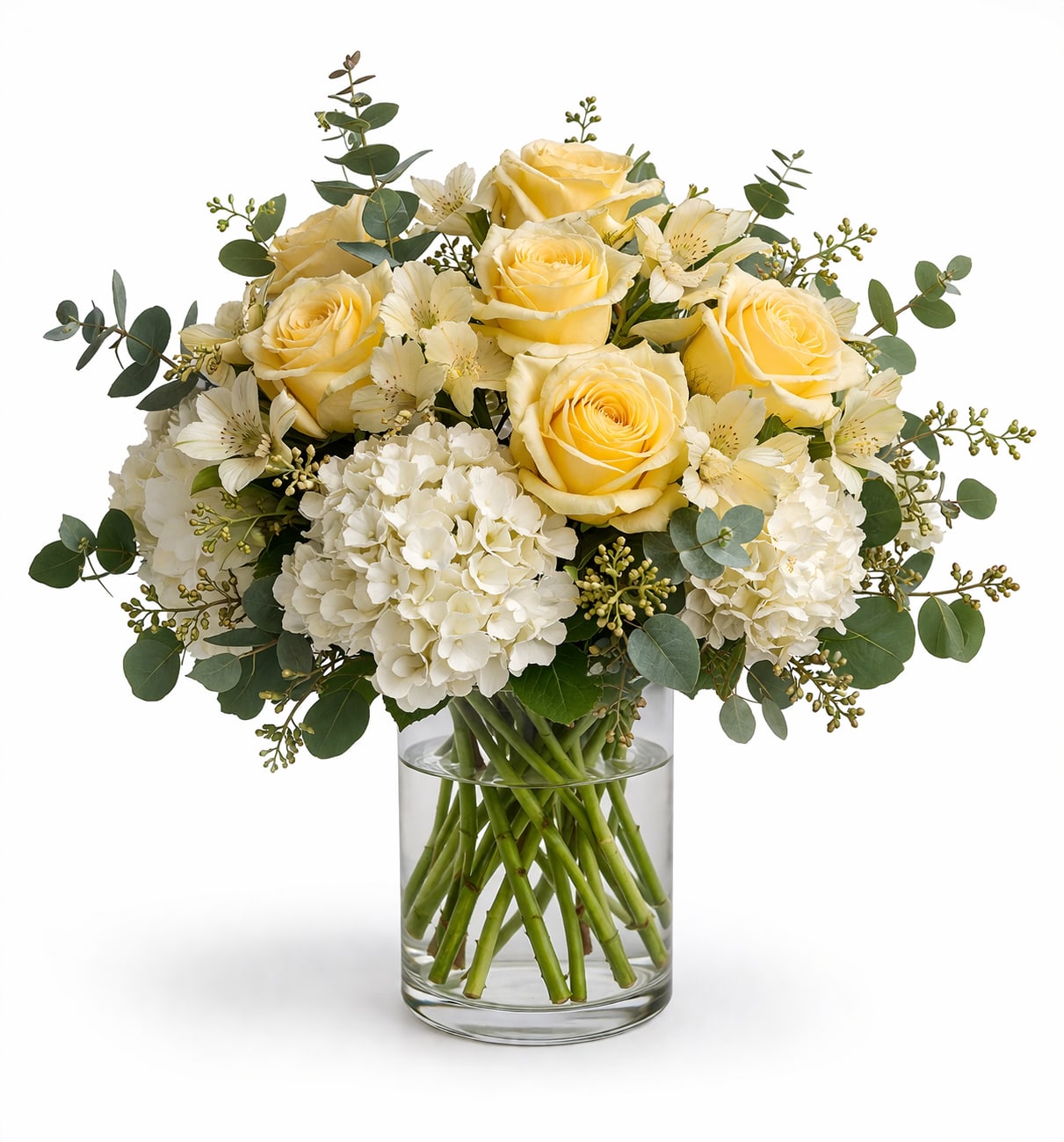 Golden Hour Glow - Pale yellow roses clustered above full white hydrangeas create an immediate sense of calm sunshine in this flower arrangement-perfect as a birthday bouquet, a spring celebration centerpiece, or a thoughtful sympathy arrangement. The Golden Hour Glow is a flower arrangement designed to make the person you're thinking of feel seen and comforted: the soft cream-and-yellow palette reads cheerful without being loud, sending warmth and quiet elegance.  This arrangement pairs rounded white hydrangea blooms with pale yellow roses, airy white filler flowers, and soft eucalyptus foliage for texture and movement. The flowers form a wide, domed composition set in a clear cylindrical glass vase, giving the display a balanced, full look that suits tabletops or entryway consoles. Sized to feel substantial without overwhelming a room, it's an easy, tasteful choice for someone who prefers restrained, sophisticated color.  Ideal for everyday gifting, thank-you gestures, or softly celebratory moments, the Golden Hour Glow arrives ready to display-no extras required. Lightly mist blooms and keep the vase topped with fresh water to maintain freshness; replace water and trim stems every few days for best longevity.