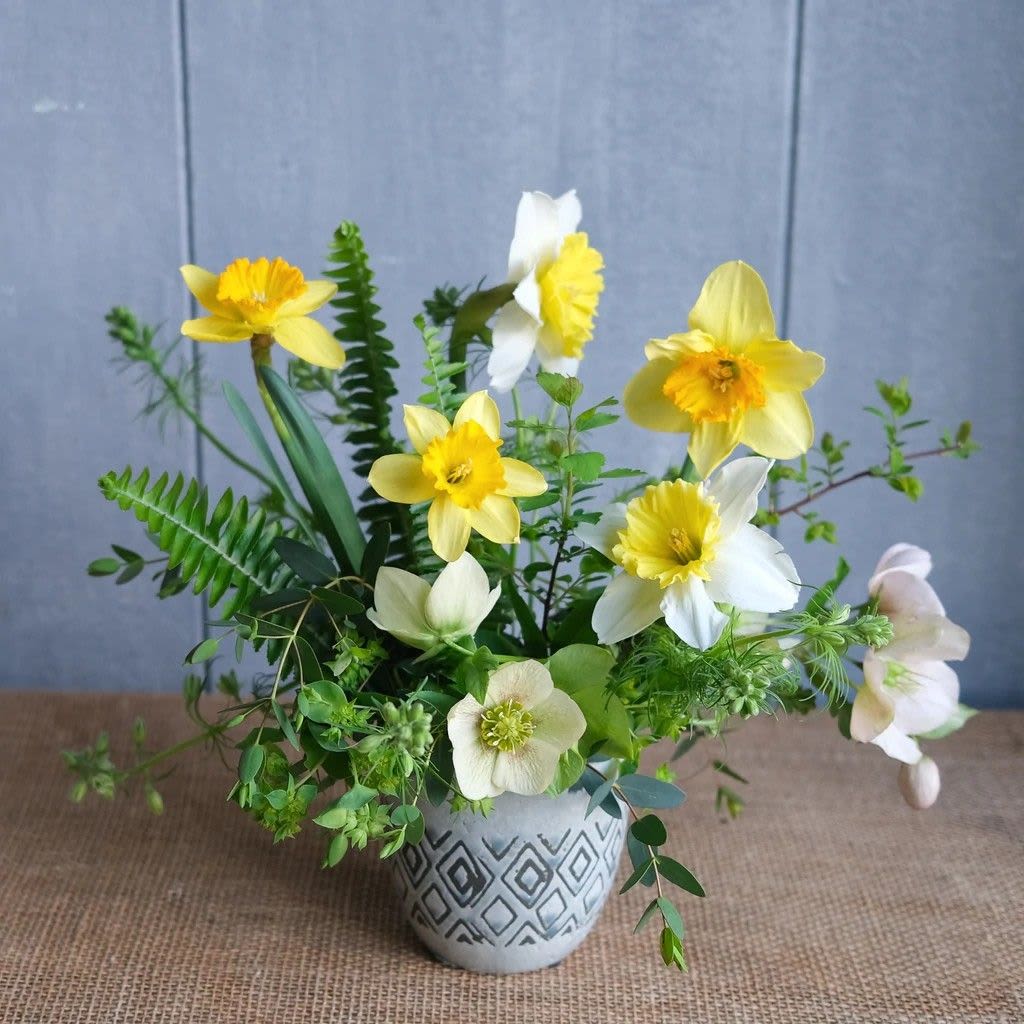 Lenten Light Arrangement - This spring arrangement is a classic example of a loose and wild garden-style design, celebrating the very first blooms of the season.