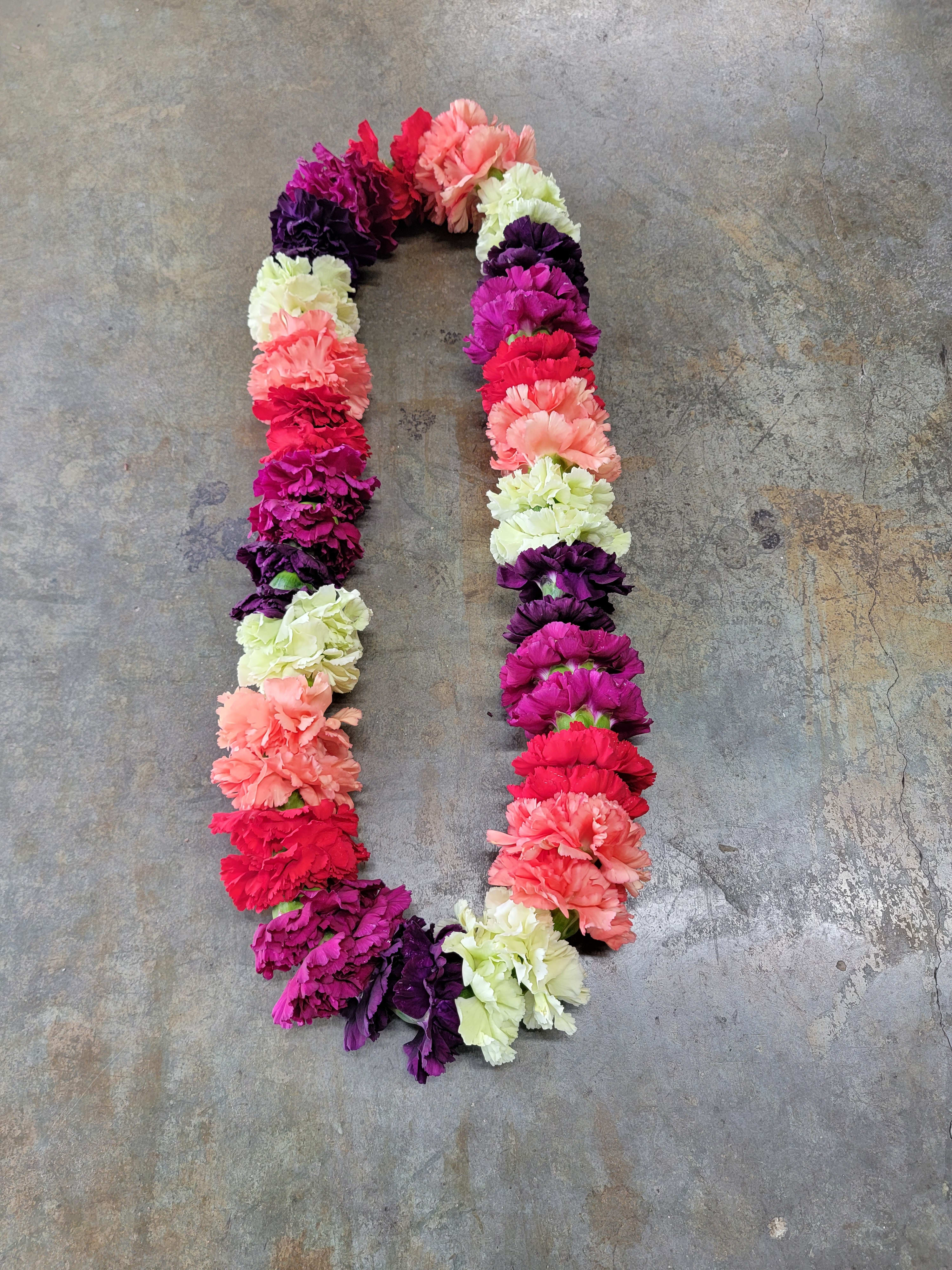 Mixed Color Carnation Lei - A colorful celebratory lei for graduations, birthday parties or any other event that could involve leis. Colors will vary. Please include the time you want to pick-up when you place the order.
