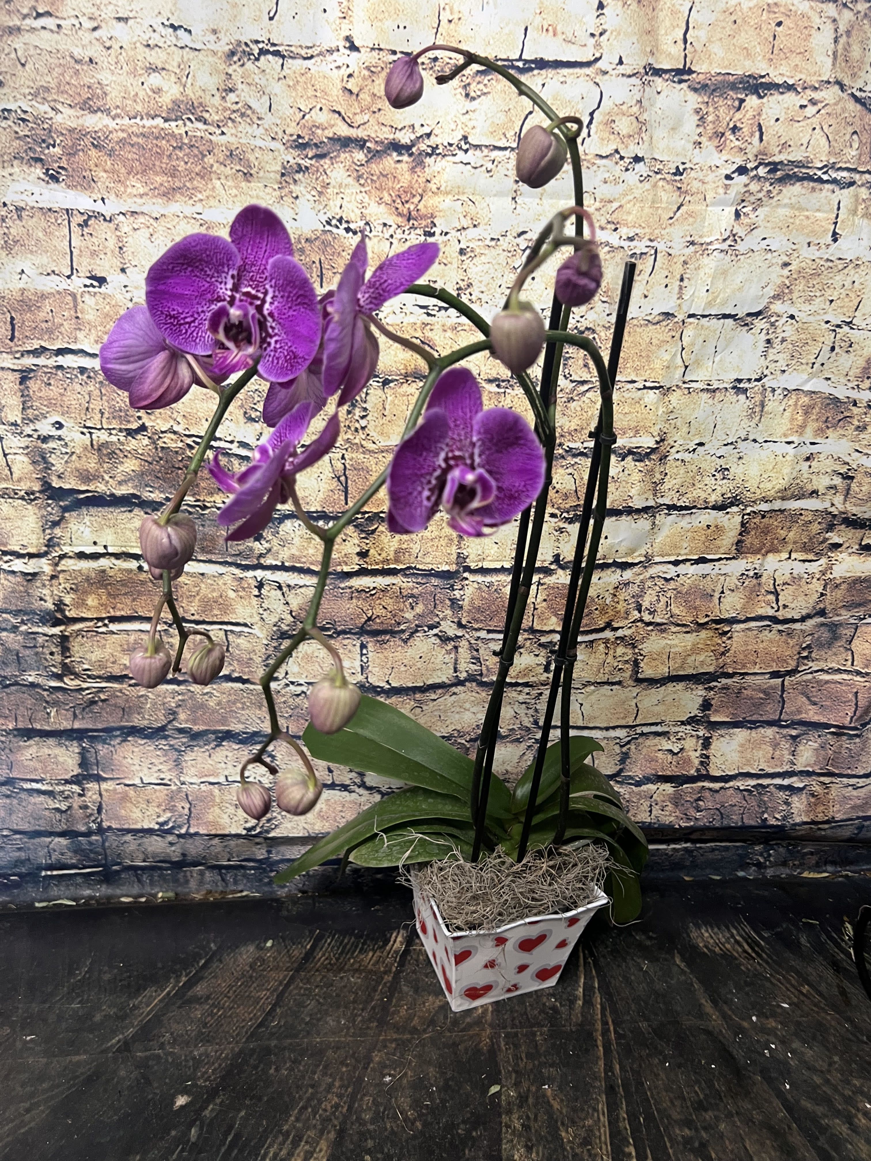 Purple orchid plant in a heart-patterned square pot