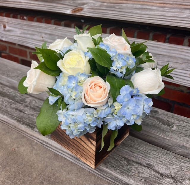Sail Away - Send something to let them know you care. Featuring blue hydrangea and white roses this arrangement is a nice way to show you are thinking of them.