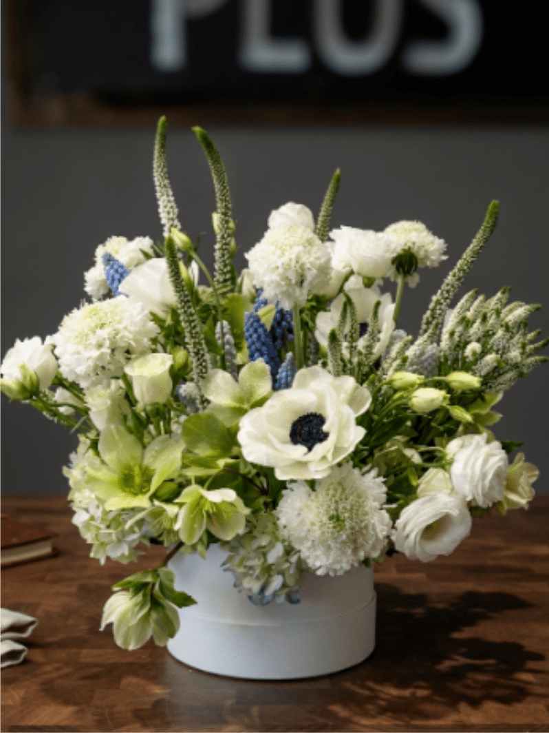 BP2 - Hello Spring - This lush, garden-style arrangement gathers anemones, lisianthus, and textured hellebores, perfectly accented by touches of blue muscari in our signature white hat box.  Seasonality: Anemones &amp; Hellebores: Peak availability in late Winter through Spring. Muscari: early Spring bloom. Scabiosa &amp; Veronica: Late Spring through Summer. Lisianthus &amp; Spray Roses: Available year-round. 
