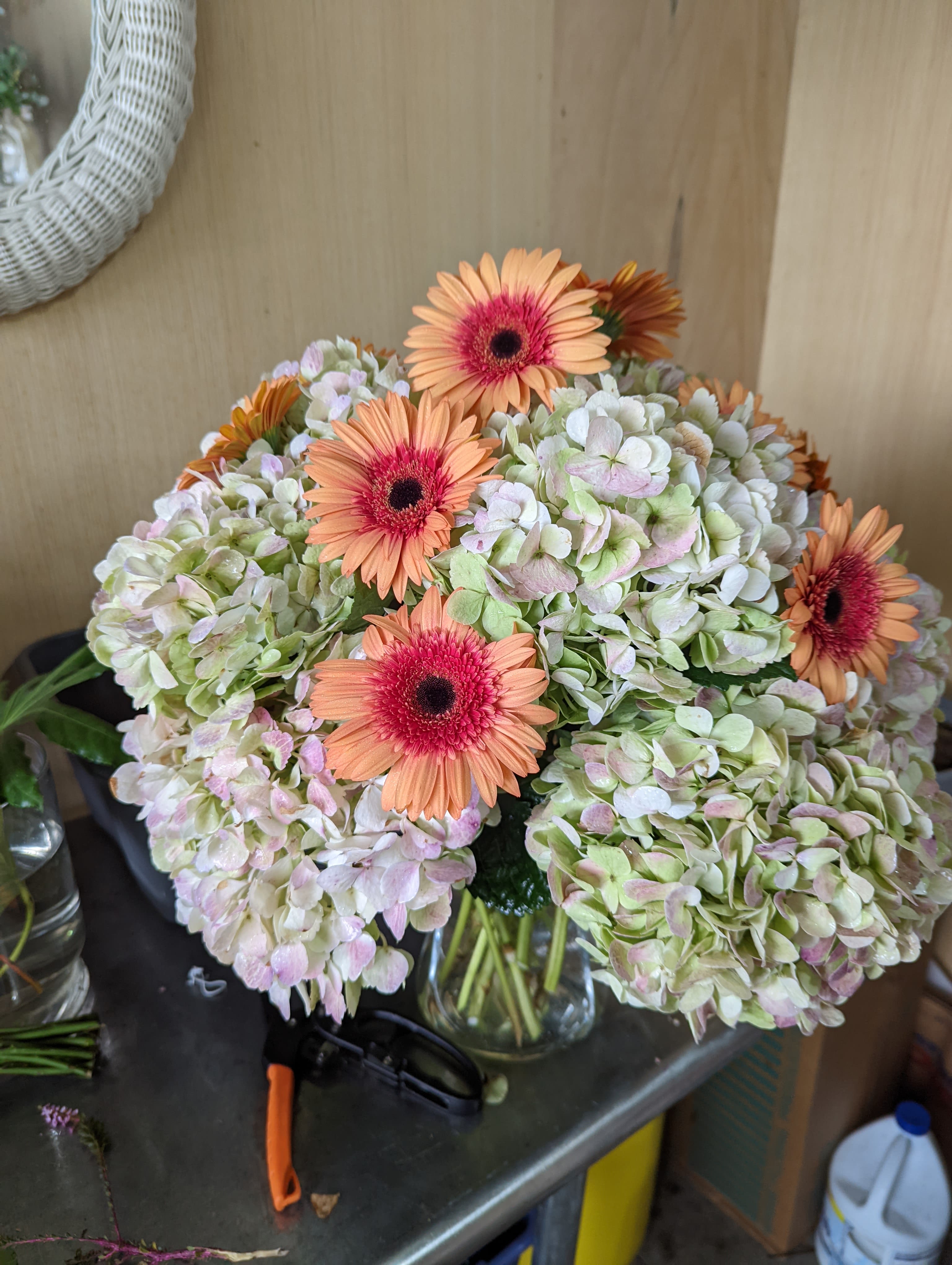 Hydrangea and Gerber vase - Peach gerbera daisies pop against full clusters of pale green, white, and blush hydrangeas to create a bright, gently romantic flower arrangement perfect for a birthday bouquet, thank-you gift, spring celebration, or housewarming. The cheerful daisy centers draw the eye while the rounded hydrangea heads give a lush, soft foundation-she'll feel genuinely celebrated the moment this arrives.  Arranged in a clear glass vase, the mix of pink, peach, white, and green reads fresh and casual, easy to place on a kitchen table or bedside dresser. The texture contrast between the voluminous hydrangeas and the crisp gerbera petals adds visual interest from every angle. Sized to sit elegantly as a centerpiece or to brighten a small room, this vase arrangement arrives ready to display; simple water care will keep the blooms looking their best for days.