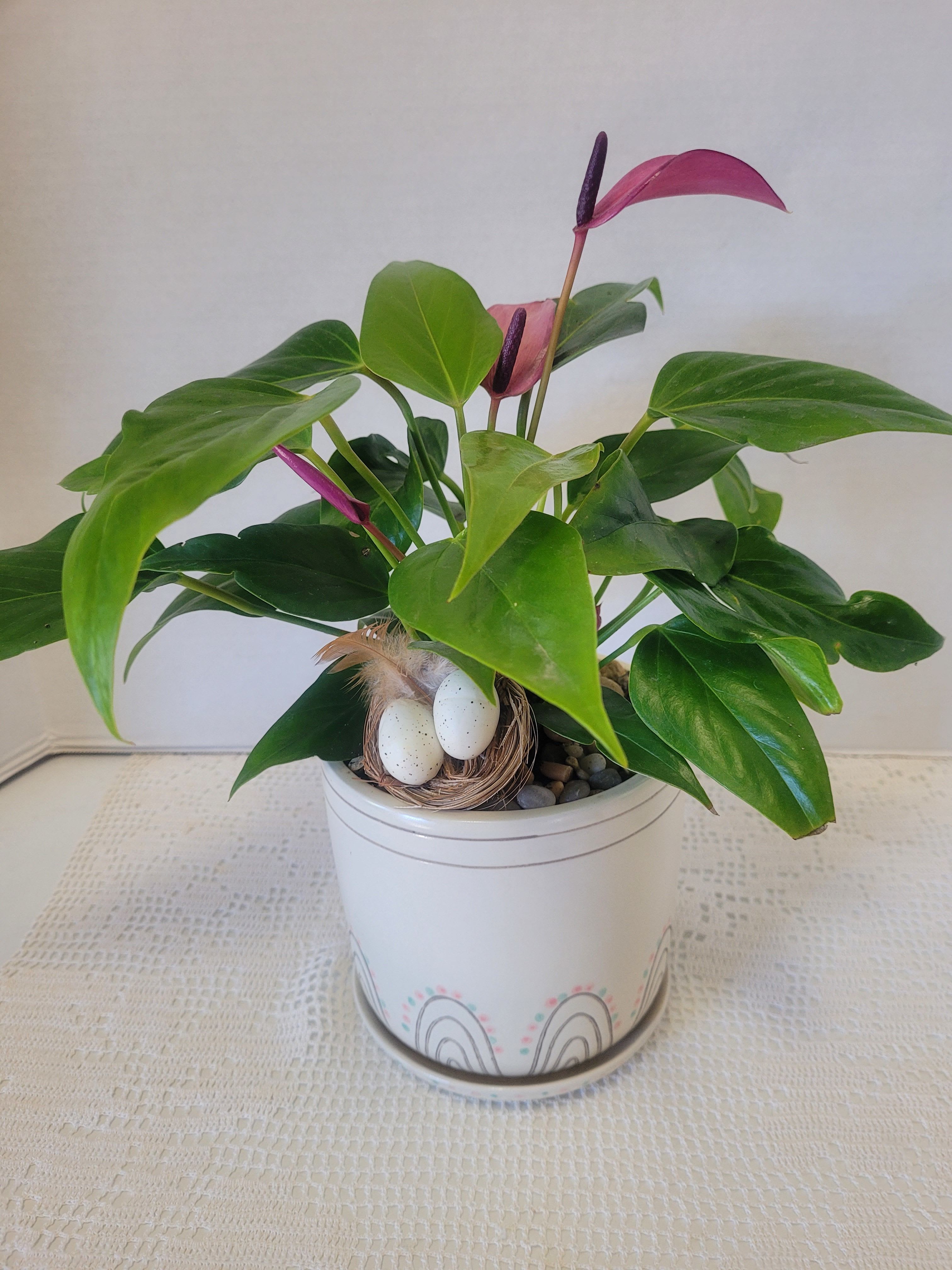 Anthurium Fun - A delicate purple Anthurium in a ceramic container with saucer. A faux bird's nest rounds out the arrangement. Would look delightful on a coffee table or as a centerpiece.