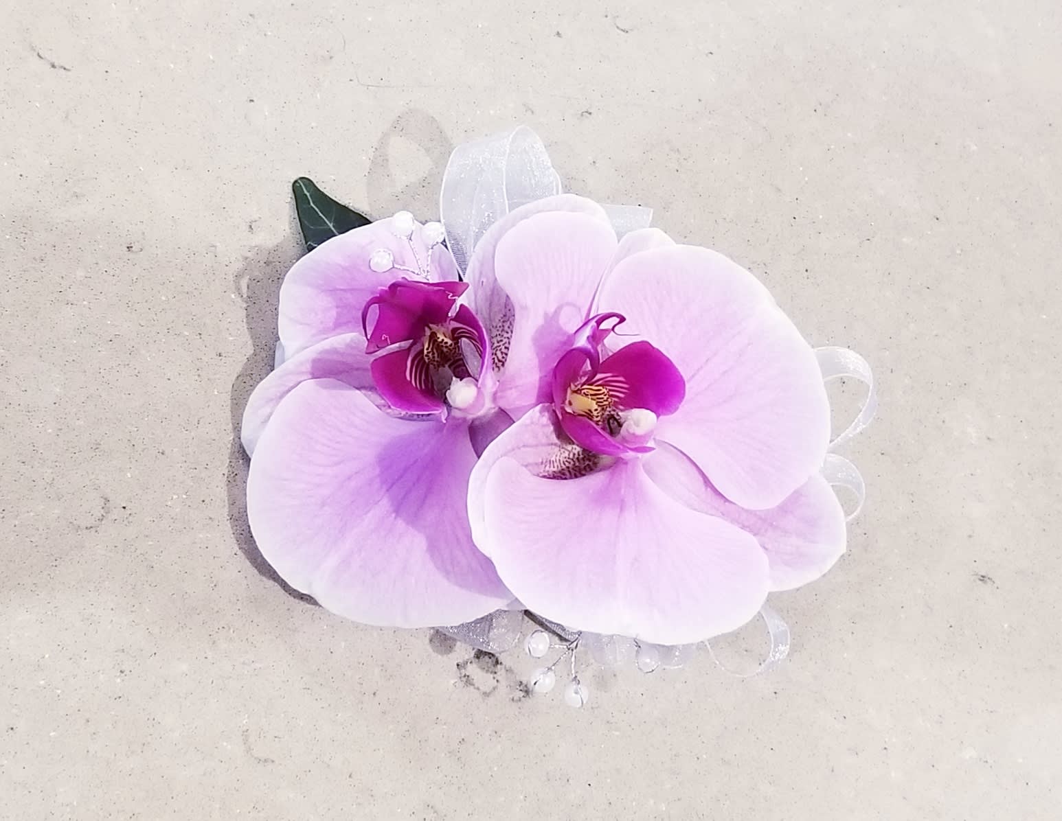 Two pale pink orchid blooms with a sheer ribbon accent