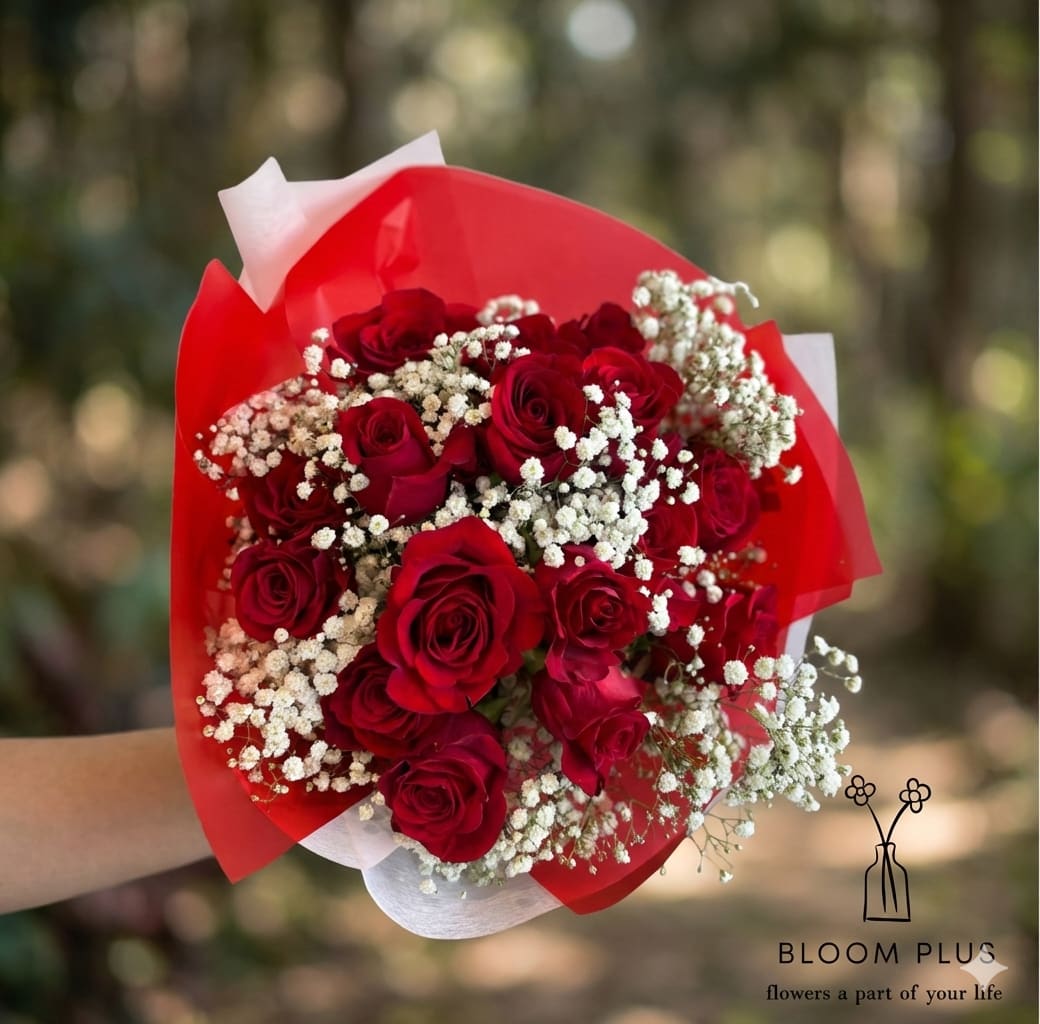 Bouquet of red roses with white baby's breath in red and white wrap
