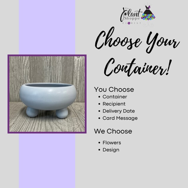 Light blue ceramic bowl planter with three short feet