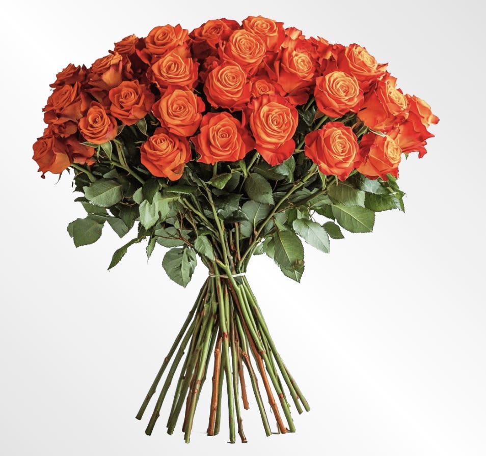 Sunset Passion Bouquet – Warm &amp; Vibrant Floral Arrangement - Sunset Passion Bouquet   A radiant celebration of passion, warmth, and joy.  Inspired by the glowing colors of a summer sunset, the Sunset Passion Bouquet blends orange and red roses, coral lilies, golden daisies, and fresh greenery in perfect harmony. Handcrafted by the expert florists at 1-800 Blooms, this bouquet captures the essence of love, energy, and happiness.  Perfect for birthdays, anniversaries, romantic surprises, or simply to brighten someone’s day, it’s a bold expression of affection that brings warmth to any space.   Details:  Hand-tied with fresh, seasonal blooms  Warm, sunset-inspired color palette  Symbolizes passion, joy &amp; heartfelt energy  Available for same-day delivery in The Bronx and surrounding areas.   Ideal for romantic, cheerful &amp; celebratory occasions