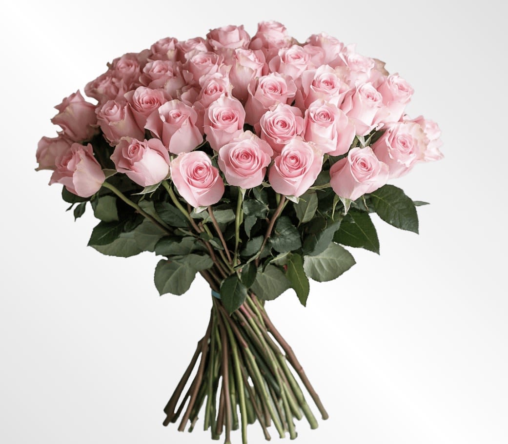 Blush Whisper Bouquet – Soft Pink Roses with Baby’s Breath - Delicate, elegant, and timeless — the Blush Whisper Bouquet features 12 soft pink roses complemented by airy sprigs of baby’s breath, wrapped in pastel paper and tied with a graceful satin ribbon. This bouquet captures the essence of romance, tenderness, and sophistication, making it a perfect expression of love, admiration, or gratitude.  Handcrafted by the expert florists at 1-800 Blooms, it’s ideal for anniversaries, birthdays, or romantic surprises, offering a refined balance of simplicity and charm that brightens any moment.   Features:  Includes 12 soft pink roses and baby’s breath accents  Wrapped in pastel paper with a satin ribbon  Symbolizes love, gentleness, and heartfelt emotion  Same-day delivery available in Bronx &amp; Surrounding areas.