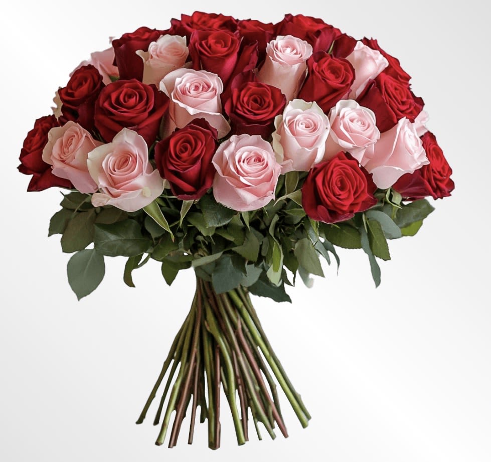 Sweetheart Harmony Rose Hand-Tied Bouquet - A romantic blend of passion and grace, this hand-tied bouquet brings together rich red roses and soft blush pink blooms in perfect harmony. The striking contrast of colors creates a lush, full arrangement that feels both classic and modern. Each rose is carefully selected for its freshness and beauty, then hand-tied to showcase the natural elegance of the stems. Ideal for anniversaries, Valentine’s gestures, or heartfelt moments, this bouquet captures love in every shade.