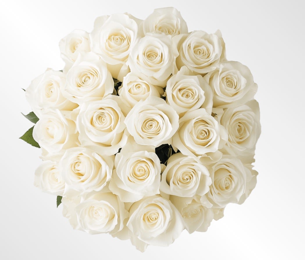 White Roses Hand-tie Bouquet - Our white roses are an elegant surprise for someone who brings pure joy to your life. Beautifully arranged by our expert florists. 12 or 24 delicate blooms are hand-delivered and ready to delight the people you care about for big celebrations and every “just because” moment in between.