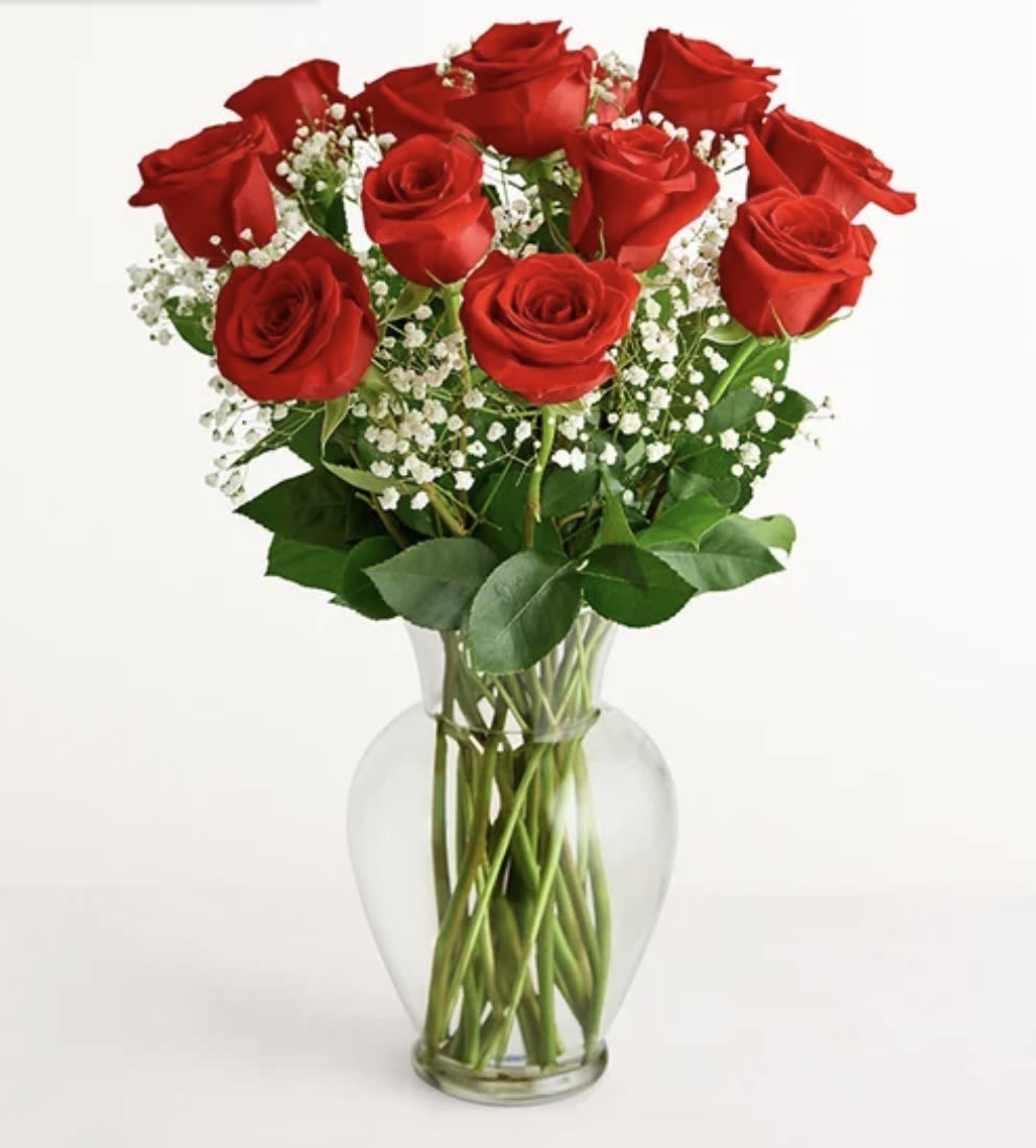 Premium Anniversary Arrangement – Luxury Romantic Flowers - The Premium Anniversary Arrangement is a luxurious floral masterpiece designed to celebrate enduring love and devotion. Featuring long-stemmed red roses, elegant orchids, hydrangeas, and lush greenery, this bouquet radiates romance, sophistication, and elegance. Perfect for milestone anniversaries or grand romantic gestures, it’s a breathtaking way to say “I love you.” Handcrafted with the finest blooms by 1-800 Blooms, available for same-day delivery throughout the Bronx, NY.