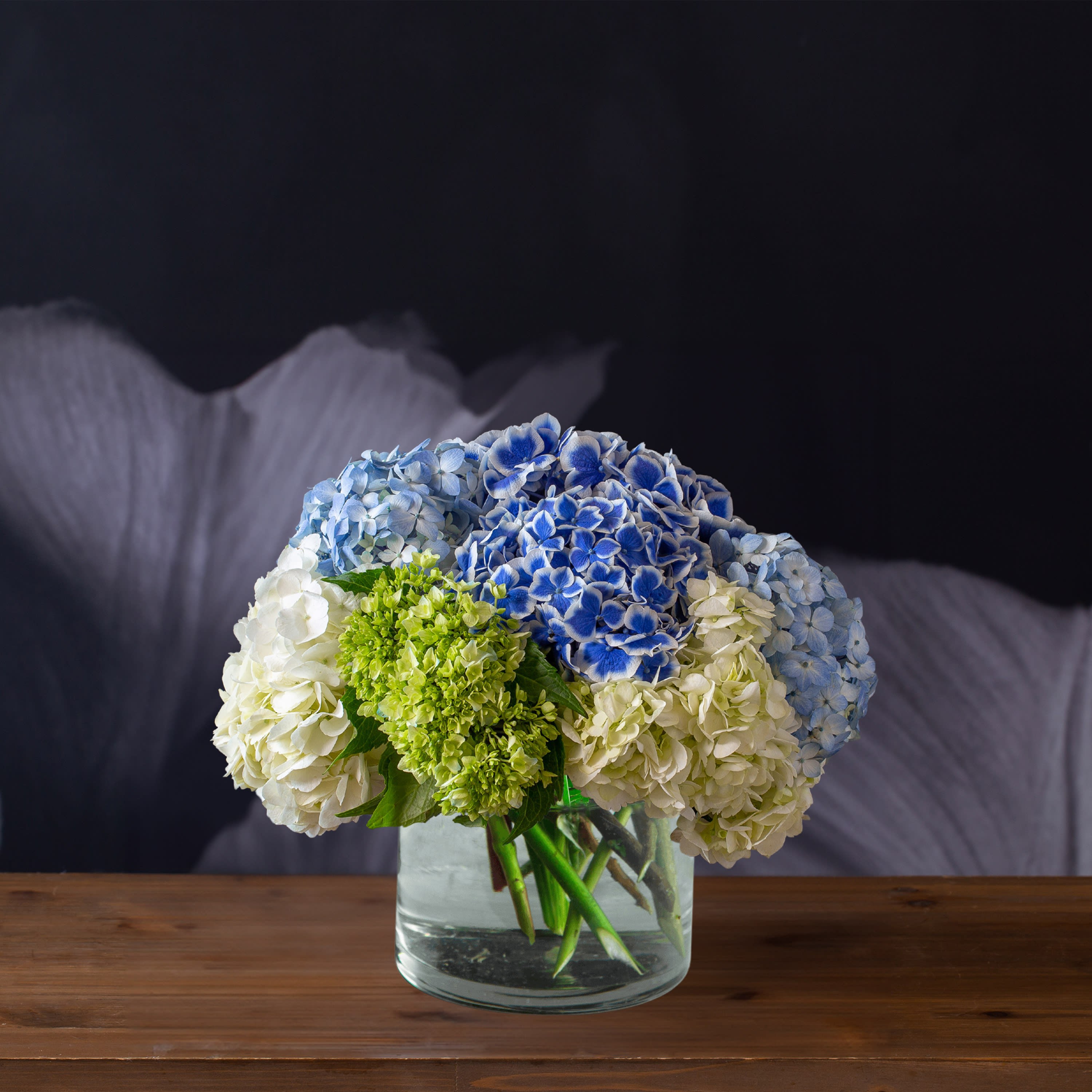 Together In Harmony - Let a peaceful wave of calming colors wash over you with Together in Harmony. These hydrangeas is perfect for adding some serenity to any space.
