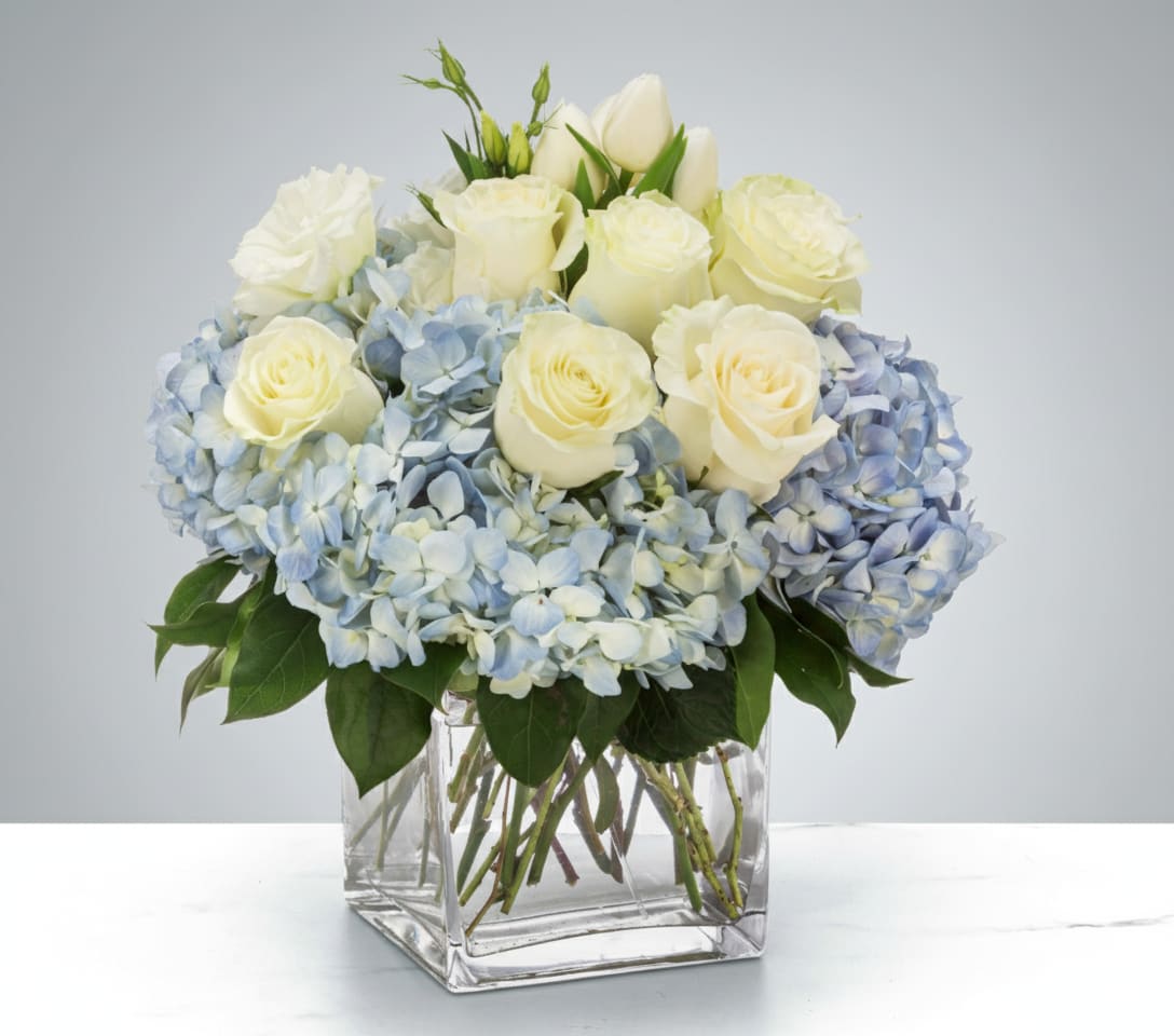 Compact arrangement of white roses and tulips with light blue hydrangeas in a clear glass cube vase
