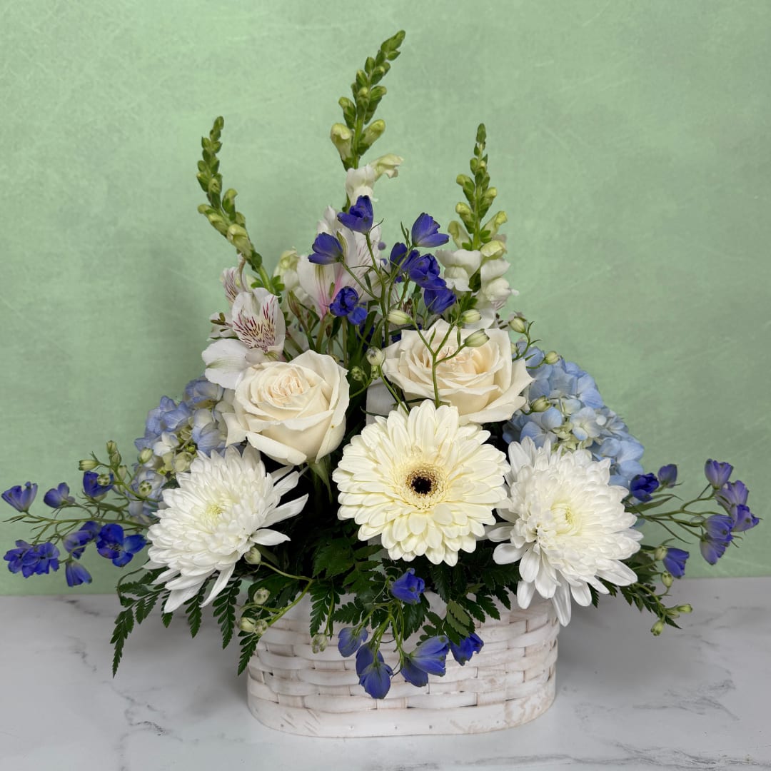 Whispering Winds Basket - Whispering Winds Basket by Savilles Florist is a basket full of stunning blue and white flowers like hydrangea, cremones, gerbera daisies, roses, and delphinium crafted inside a white woodchip basket. This design is both sophisticated and welcoming, making it a great choice for multiple occasions.