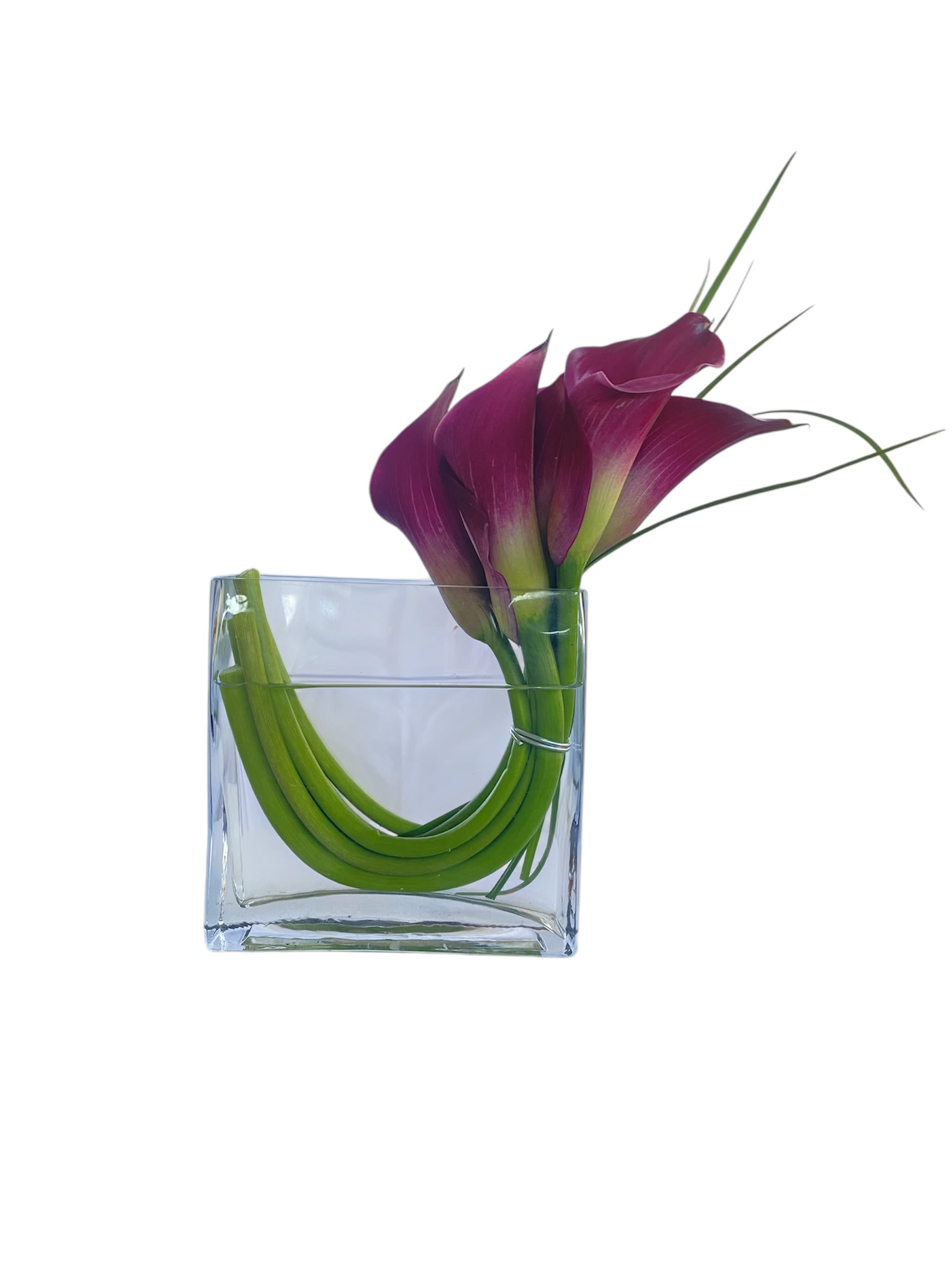 Purple calla lilies in a square glass vase