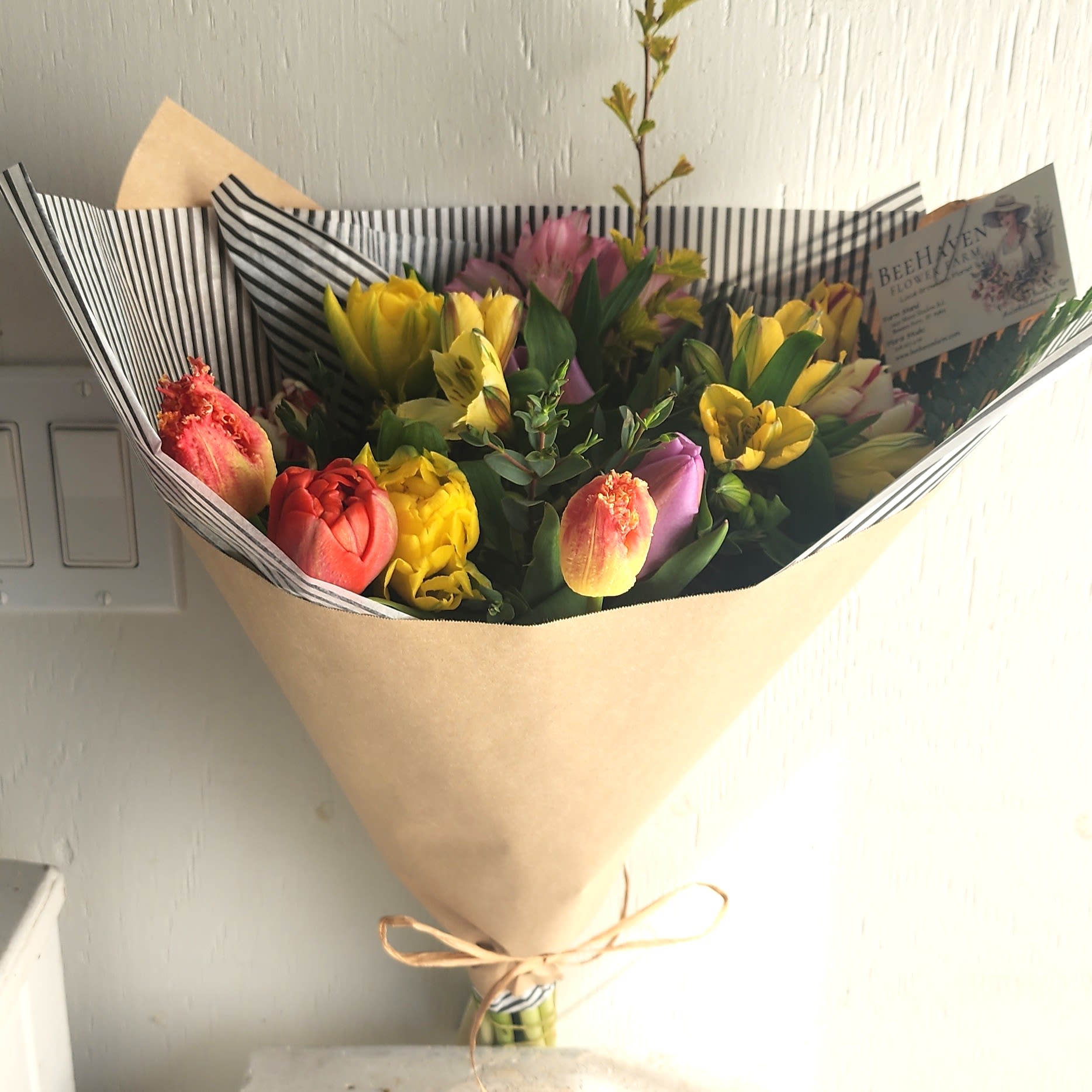 A Tulip Wrap - We are a small studio florist in a small town. Every bouquet we create is a one-of-a-kind creation, tailored to the season, availability of flowers, color choice, artistic interpretation, and the current materials available. The photos do not represent the exact flowers that will be delivered. They are intended to provide you with an idea of what we do, how we do it, and the variance that can be expected.The season, availability of flowers, color choice, artistic interpretation, and the current materials available. The photos do not represent the exact flowers that will be delivered. They are intended to provide you with an idea of what we do, how we do it, and the variance that can be expected.  