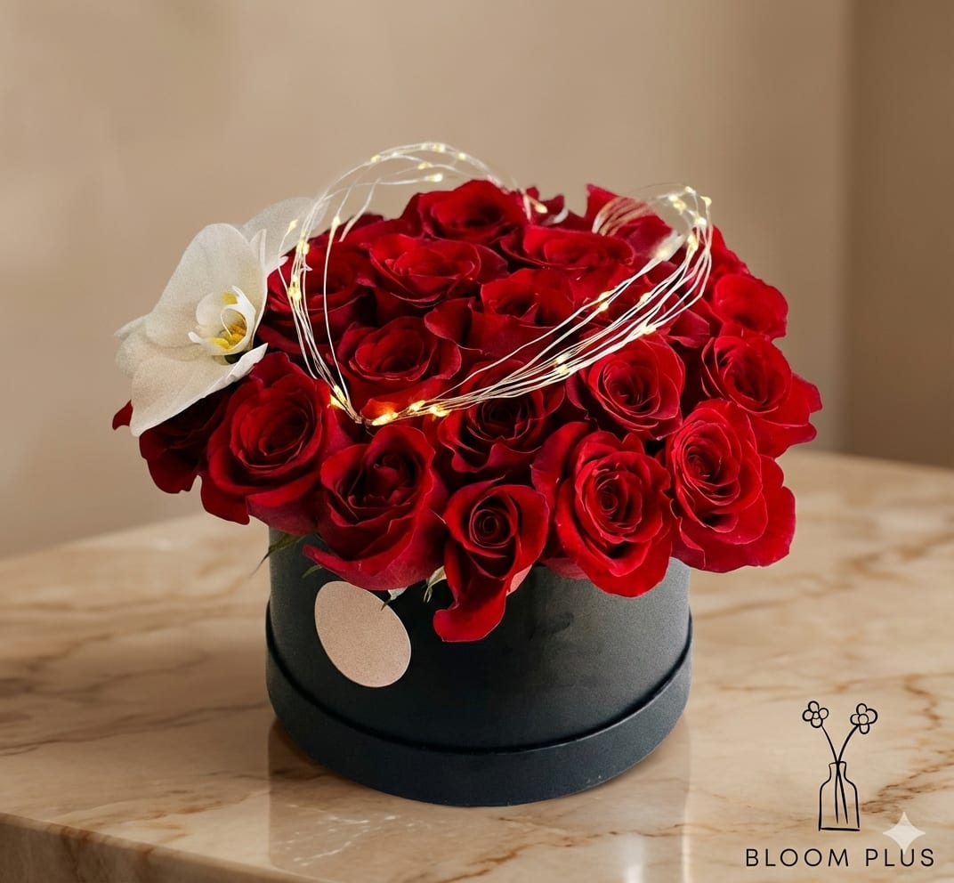 Red roses arranged in a black round box with a white orchid accent and string lights