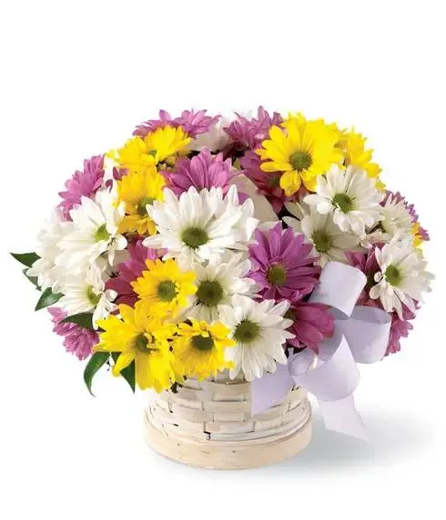 Mixed daisy bouquet in a woven basket with a lavender ribbon