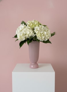 58 | Brittany - Calling all hydrangeas lovers!! Designed and named after Brittany, France where hydrangeas are iconic to this beautiful region. 