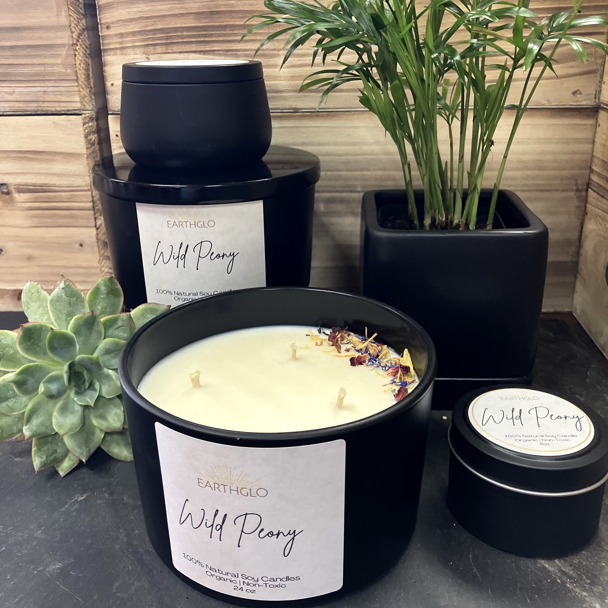 Black candles with "Wild Peony" labels beside a potted succulent and palm plant