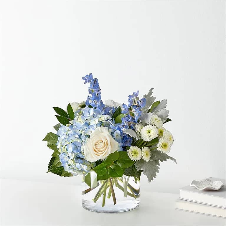 Blue Garden - Soft pale blue hydrangeas and sky-blue delphinium spikes give this flower arrangement a quiet, garden-fresh presence-perfect as a spring centerpiece, a thoughtful thank-you bouquet, or an everyday gift that reads as calm and refined. The arrangement type is a flower arrangement suited for occasions like thank-you gestures, spring decorating, or simply to brighten someone's day; the cool blue, white, and green palette creates a soothing impression that will make the person you're thinking of feel truly seen and cared for.  A compact, airy composition centers on clusters of blue hydrangeas and pure white roses, accented with small white daisy-like chrysanthemums and glossy green foliage. Tall blue delphinium stems rise above the main cluster for vertical interest, while silvery leaves add subtle contrast and texture. The bouquet is arranged in a clear glass vase for a clean, understated presentation that highlights the soft textures and cool tones.  This is the kind of arrangement that works equally well on a desk, dining table, or entry console-an elegant yet approachable gift for friends, coworkers, or hosts. Delivered ready to display in its clear vase, it offers low-maintenance charm: keep it in fresh water and out of direct heat to extend bloom life.