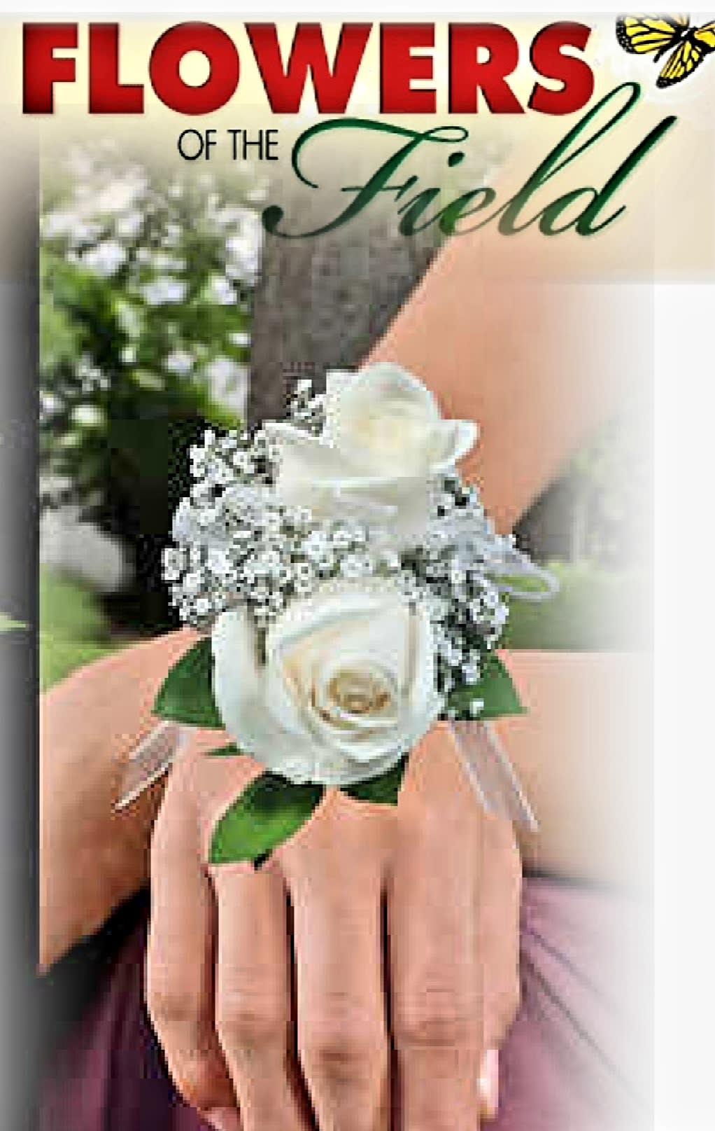 White rose wrist corsage with baby's breath and ribbon