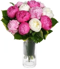 Pink and white peonies arranged in a clear glass vase