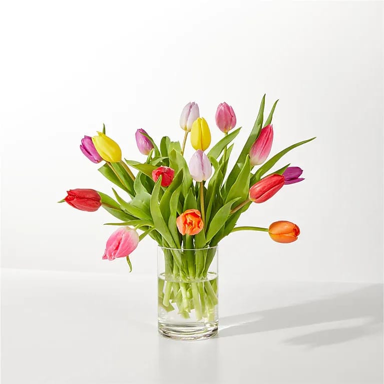Color, Loosely - A cheerful burst of spring-this mixed-color tulip arrangement brings bright pinks, sunny yellows, fiery reds and oranges, soft purples and crisp whites together in a loose, casual cluster ideal for a birthday bouquet, Mother's Day gift, or a simple "thinking of you" surprise. The tulips' cup-shaped blooms and vivid contrast make the person you're sending it to feel genuinely celebrated and uplifted the moment it arrives.  Arranged in a clear cylindrical glass vase, long green stems and broad tulip leaves are visible through the water for a fresh, just-cut look that reads modern and effortless. The design leans airy and relaxed rather than formal-blooms are loosely gathered so individual colors pop and move naturally. This size and style work well on a kitchen table, office desk, or mantel as a seasonal centerpiece.  Perfect for everyday gifting and springtime occasions, the bouquet's mixed palette is versatile enough to suit many recipients and moods. For best enjoyment, keep the vase topped with fresh water and trim stems every few days to extend the lively, fragrant display.