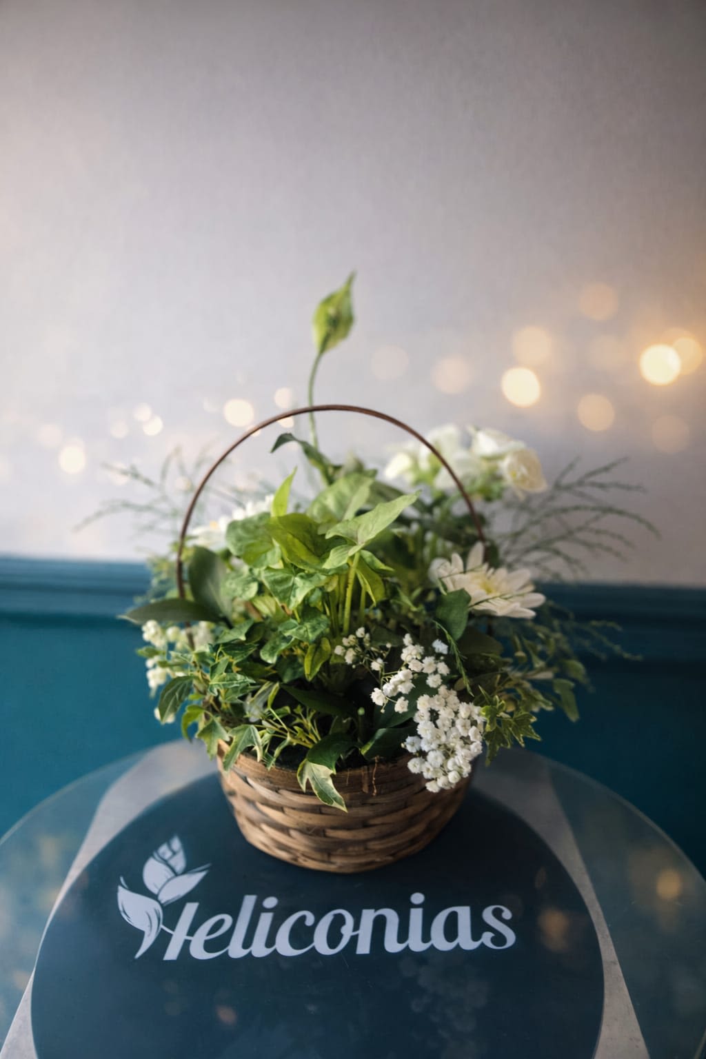 Green &amp; Ivory Plant - A garden-fresh display of green and ivory blooms, this flower arrangement in a woven basket with an arched handle is an inviting choice for a housewarming gift, spring celebration, or a thoughtful thank-you. The rounded, airy profile and casual handcrafted character make it the kind of everyday bouquet that will make the person you're thinking of feel genuinely welcomed and cared for.  Clusters of white daisy-like flowers and delicate baby's breath mingle with varied green foliage for soft contrast against the natural basket. The mixed white and green palette reads clean and calming-bright without being showy-and the compact, dense shape fits easily on a table, entryway, or windowsill. Ready to display in its woven container, this arrangement brings low-maintenance charm and a fresh, garden-inspired look to any room.