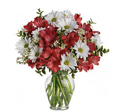 Dancing in Daisies - Happy birthday to you! Or happy anniversary! Or happy nothing special! Whatever the occasion (or non-occasion), this stunning array of the season's most fabulous flowers in a clear glass vase will make their day.