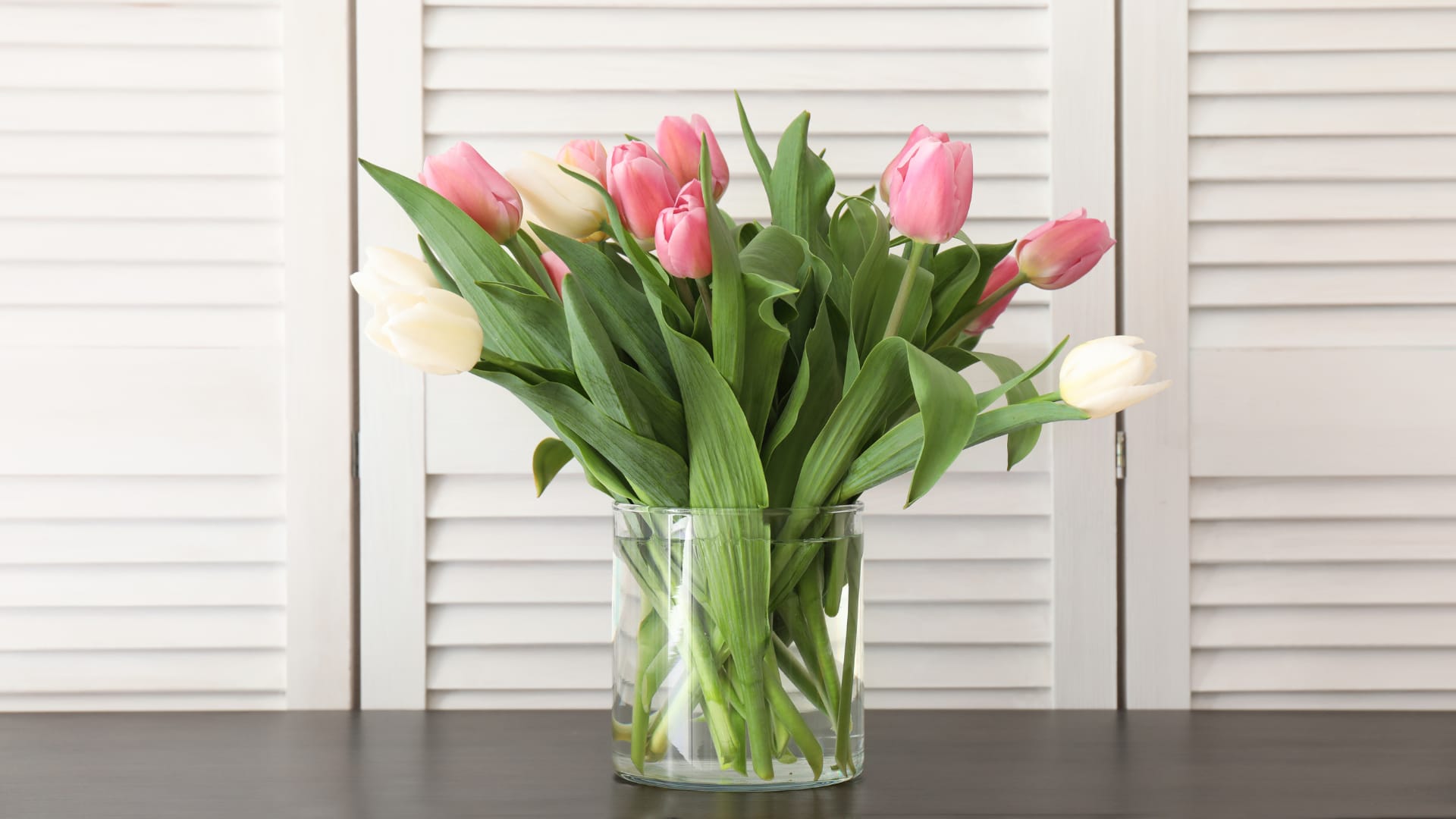 Springtime Tulips - Send a selection of tulips to somebody you have unconditional love for! Always treasured and appreciated, Tulips have a rich history and are loved by all making them a fan favorite for Mother's Day. They also are a great option for celebrating an anniversary or just because.