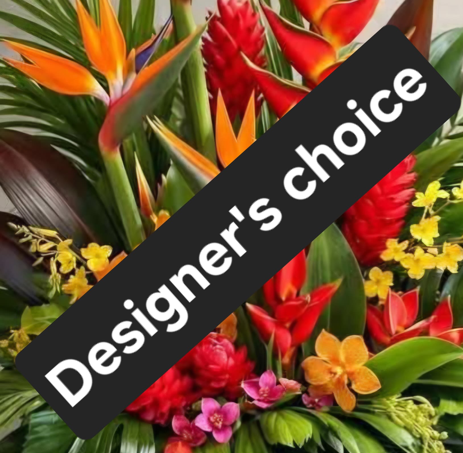 Designer's Choice - Paradise - An exclusive one-of-a-kind composition crafted at the designer's descretion, showcasing the finest seasonal blooms in a refined, artictic expression.