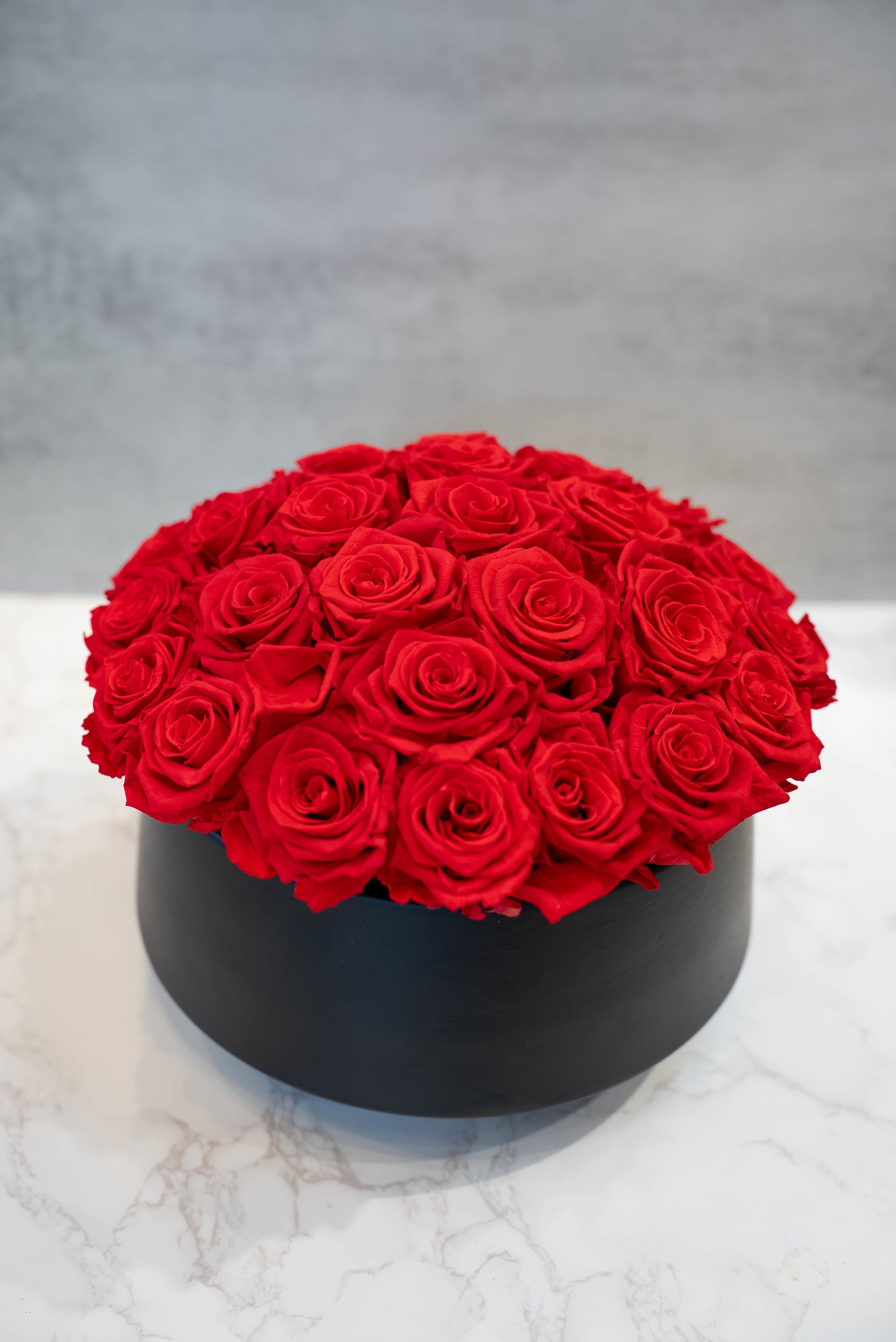 PRESERVED Red Roses in Black Ceramic  - High end preserved roses, custom designed by hand in our local shop