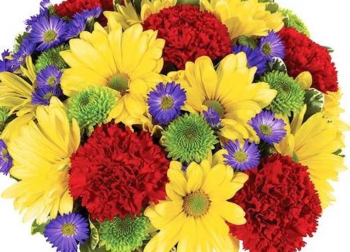 Bright mixed bouquet with yellow daisies, red carnations, and purple asters