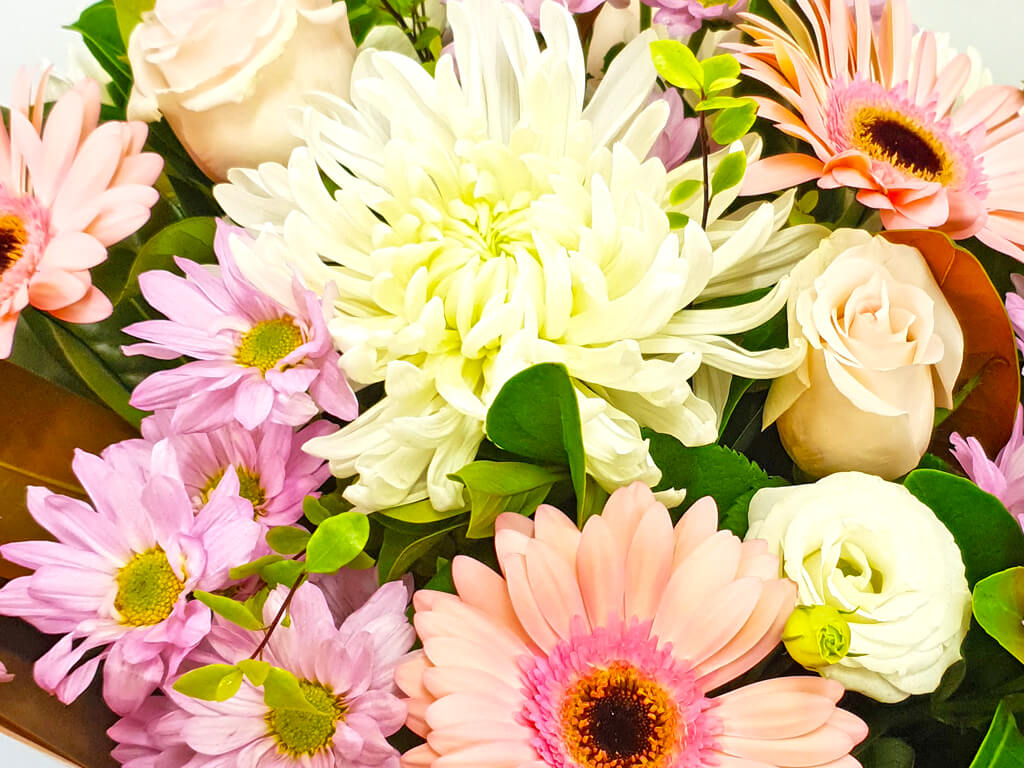 Bouquet of pink daisies, white chrysanthemum, and cream roses