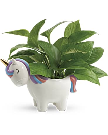 Potted green plant in a unicorn-shaped ceramic planter