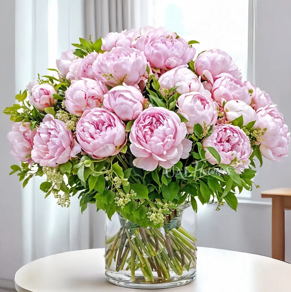 Gorgeous Pink Peonies Bouquet  - Our Peony Candy is a delightful treat for your senses! This charming peony showcases a stunning arrangement of gorgeous pink peonies, exuding elegance and charm. Whether it’s a birthday, anniversary, or any special occasion, these blooms are sure to make the perfect gift.20 stems of pink peonies with fillers in glass vase