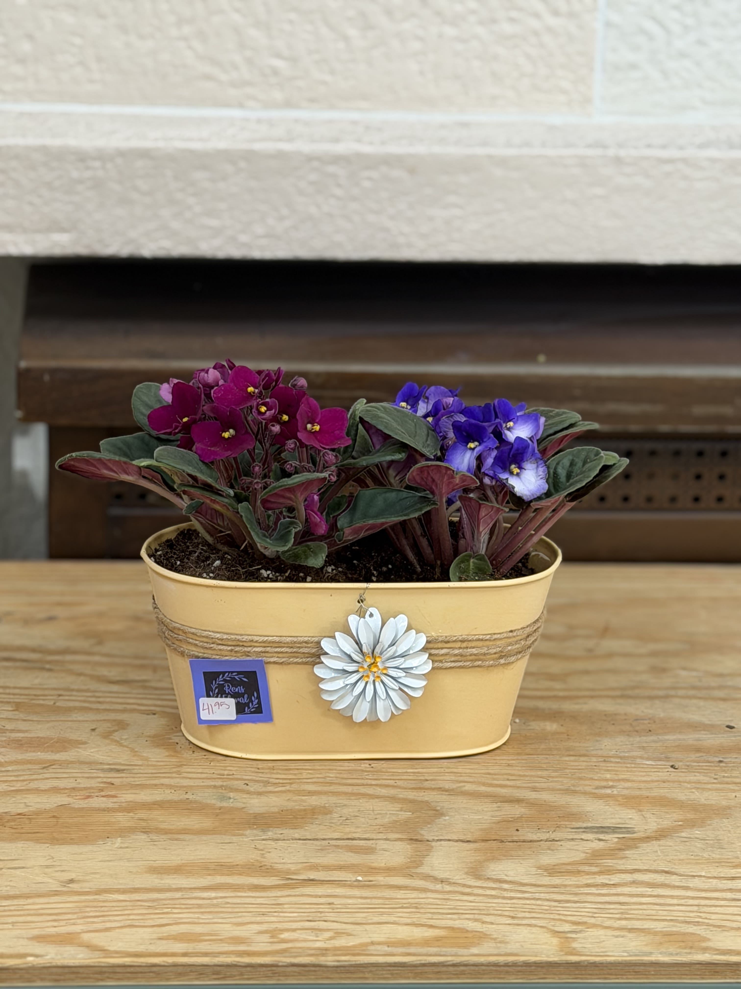 African Violet Planter - A tin planter with a flower detail with 2 African Violets. 