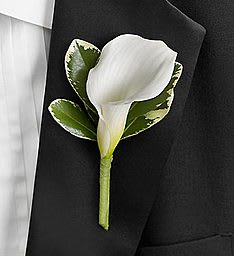 White calla lily boutonniere with variegated green leaves on a black suit jacket
