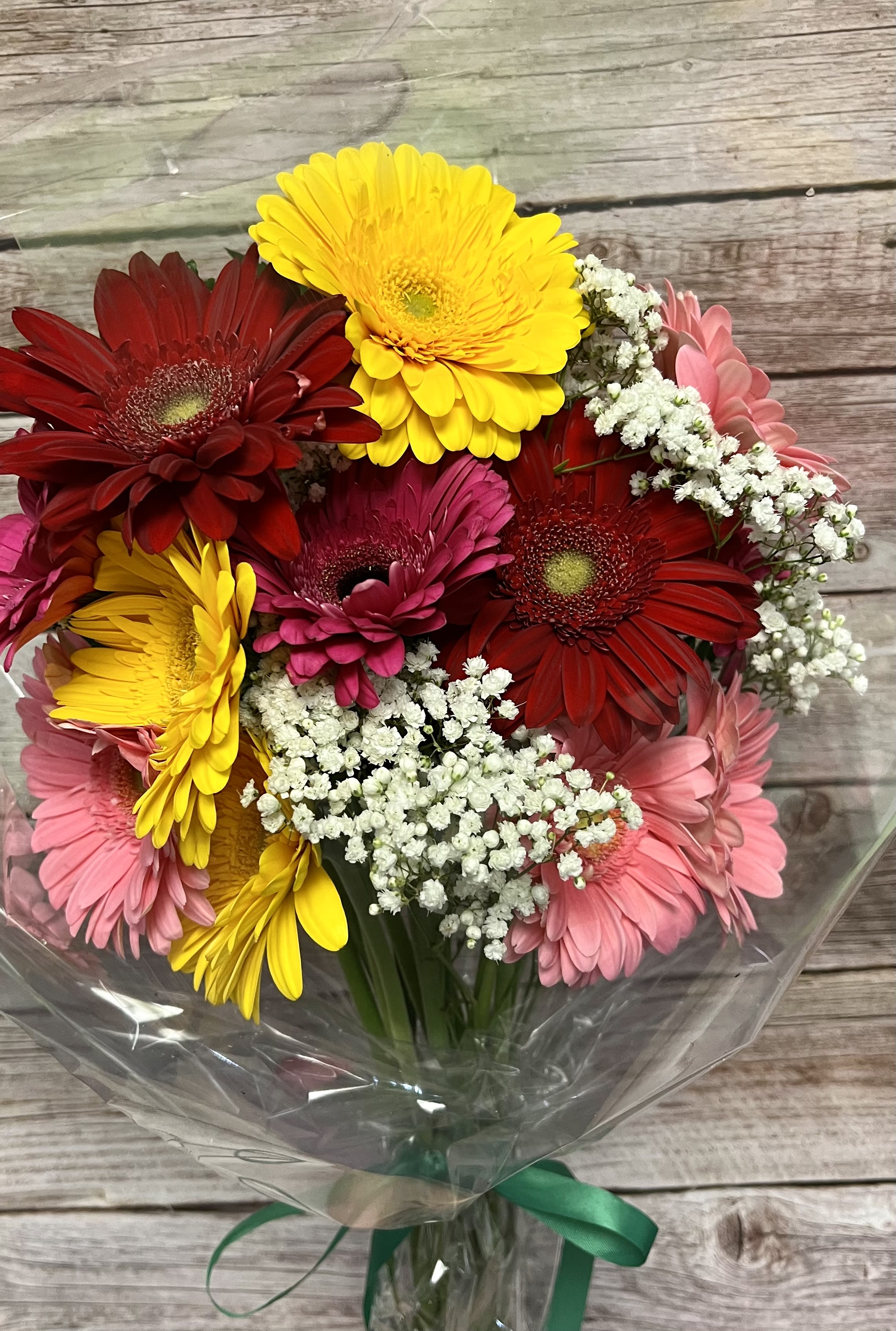 Bouquet of colorful gerbera daisies with baby's breath in clear wrap
