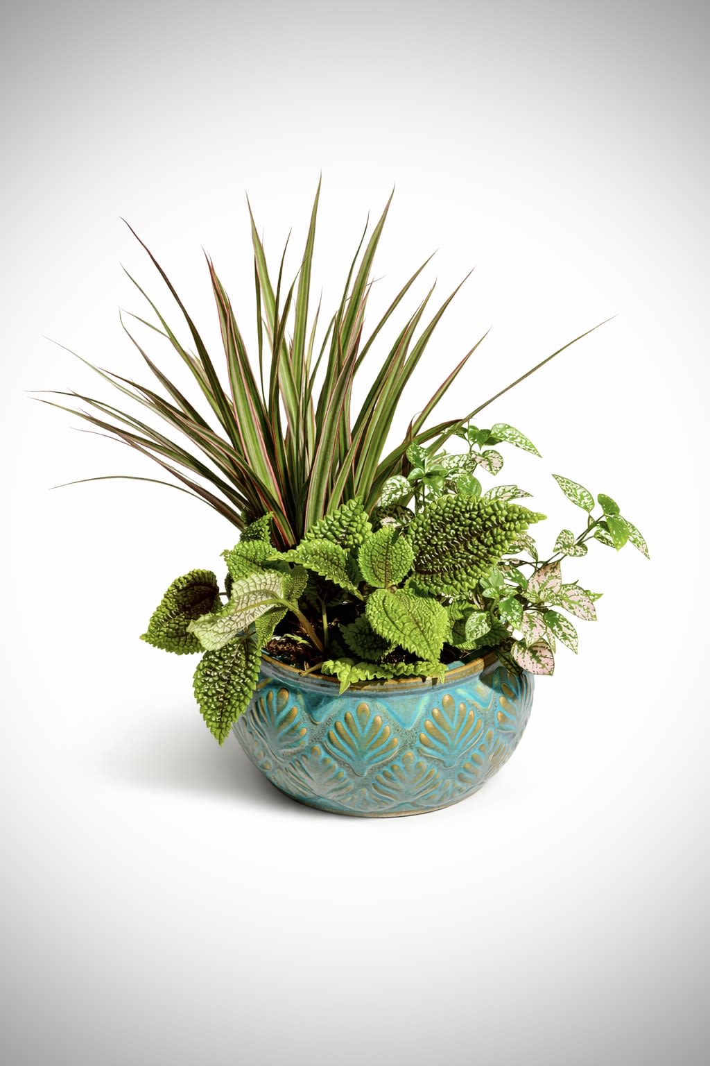 6” Mixed Dish Garden   - A vibrant mix of textured greenery and colorful foliage, arranged in a decorative ceramic dish. Easy to care for and perfect for adding a fresh, modern touch to any space.  Approx. 8–10” tall | Bright, indirect light