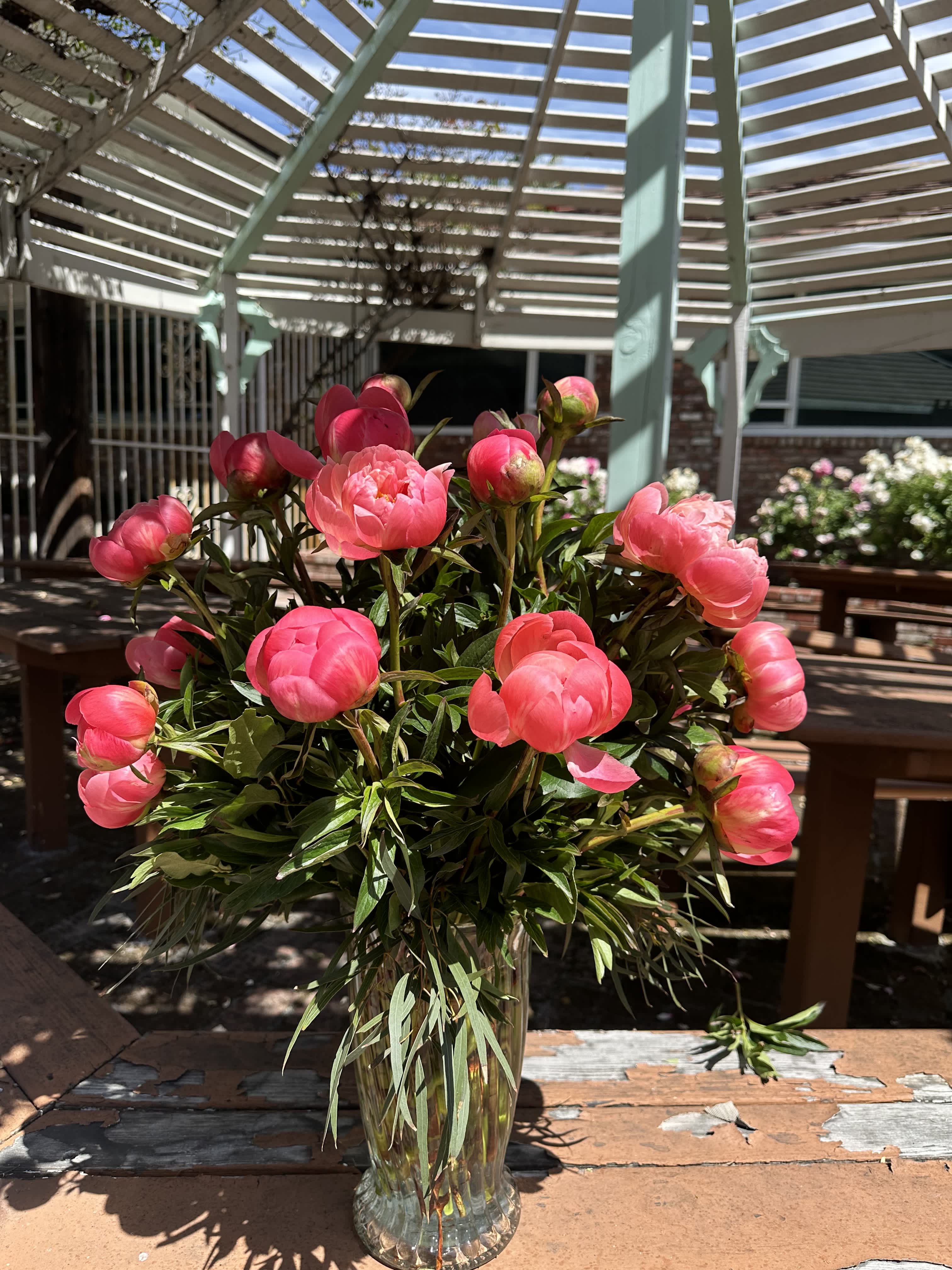 Pink peonies arranged in a clear glass vase
