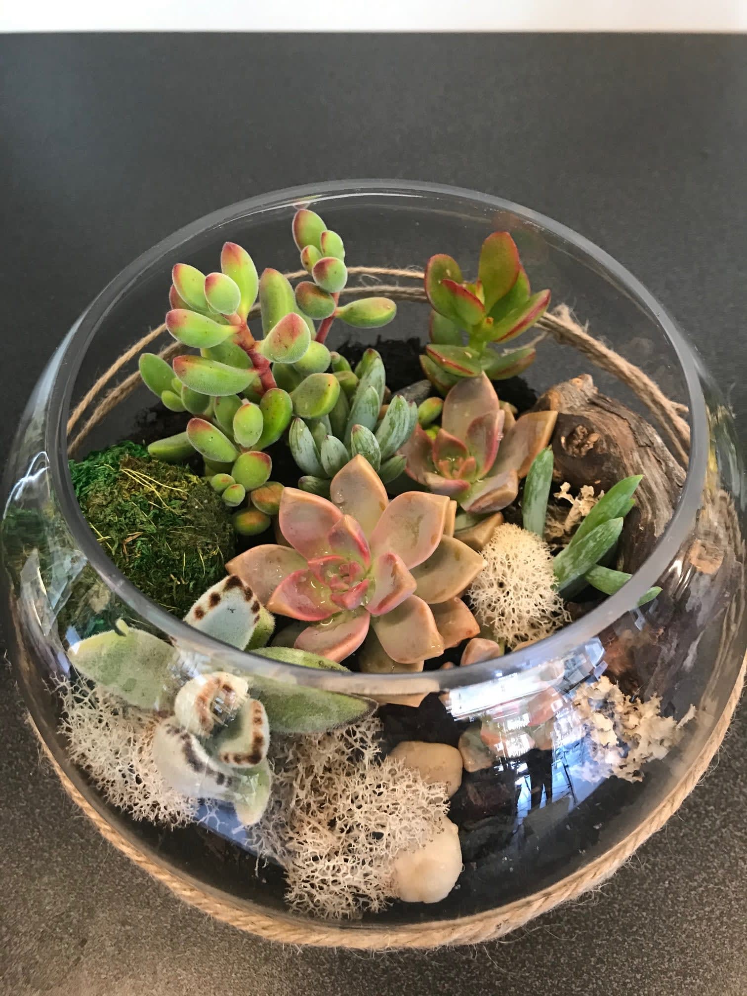 Succulent arrangement in a round glass bowl with moss and stones
