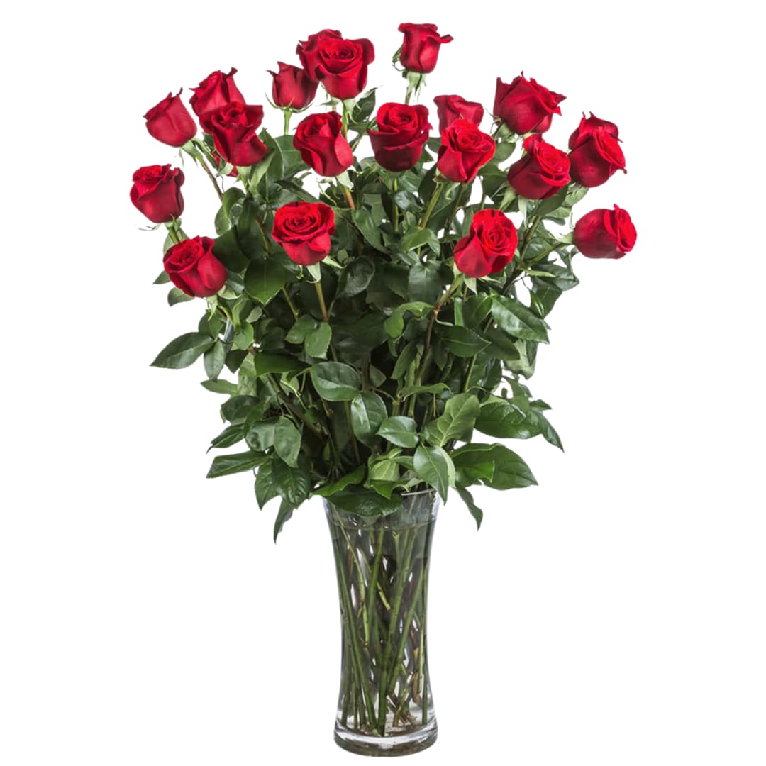 Two Dozen Long Stemmed Roses by BloomNation™ - These two dozen red roses provides the classic romantic gift. It's perfect for Valentine's Day or an Anniversary. APPROXIMATE DIMENSIONS: 30" H X 22" W. No fillers.