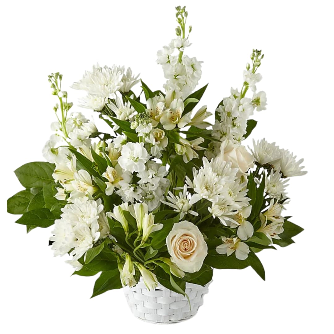 Tranquility Basket - Share how much you care with an abundance of elegant white florals. Designed in a basket, Tranquility features alstroemeria, roses, poms and more. A fitting gift to send for sympathy, get well or any occasion.