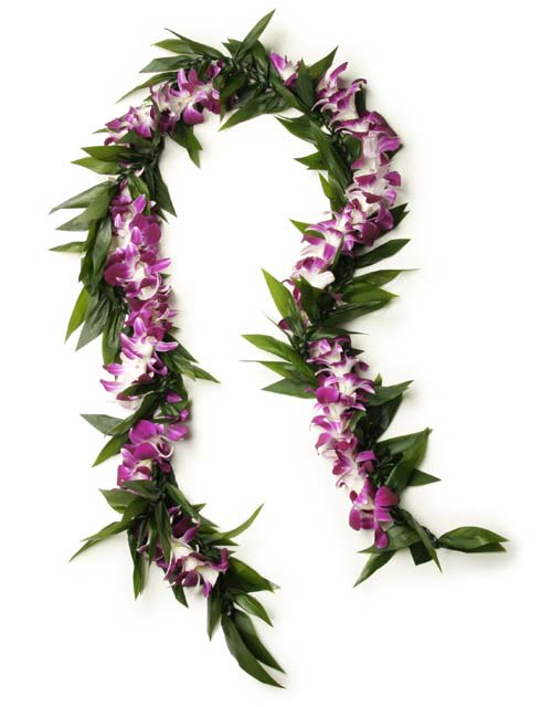 Open-style Maile + Orhcid Lei (purple) - Traditional Maile / Ti Leaf and purple Orchid twisted together in an open lei. Includes your choice finishing ribbon color.  Please indicate ribbon color if desired (2 color ribbon max) - for example, school colors. 